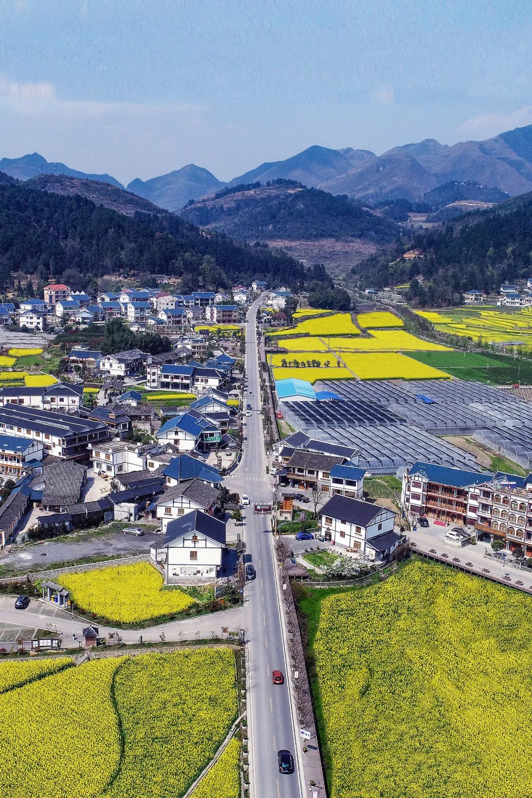 Image related to Why Guizhou is China's Best-Kept Winter Treasure Destination?