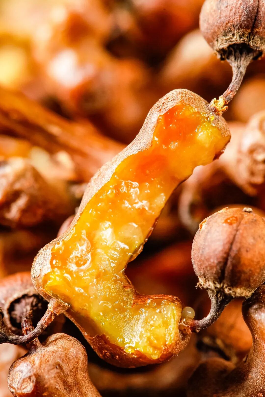 Image related to China's Most Underrated Fruit Kingdom: Sweetness Stretching from the Loess Plateau to Both Sides of the Qinling Mountains