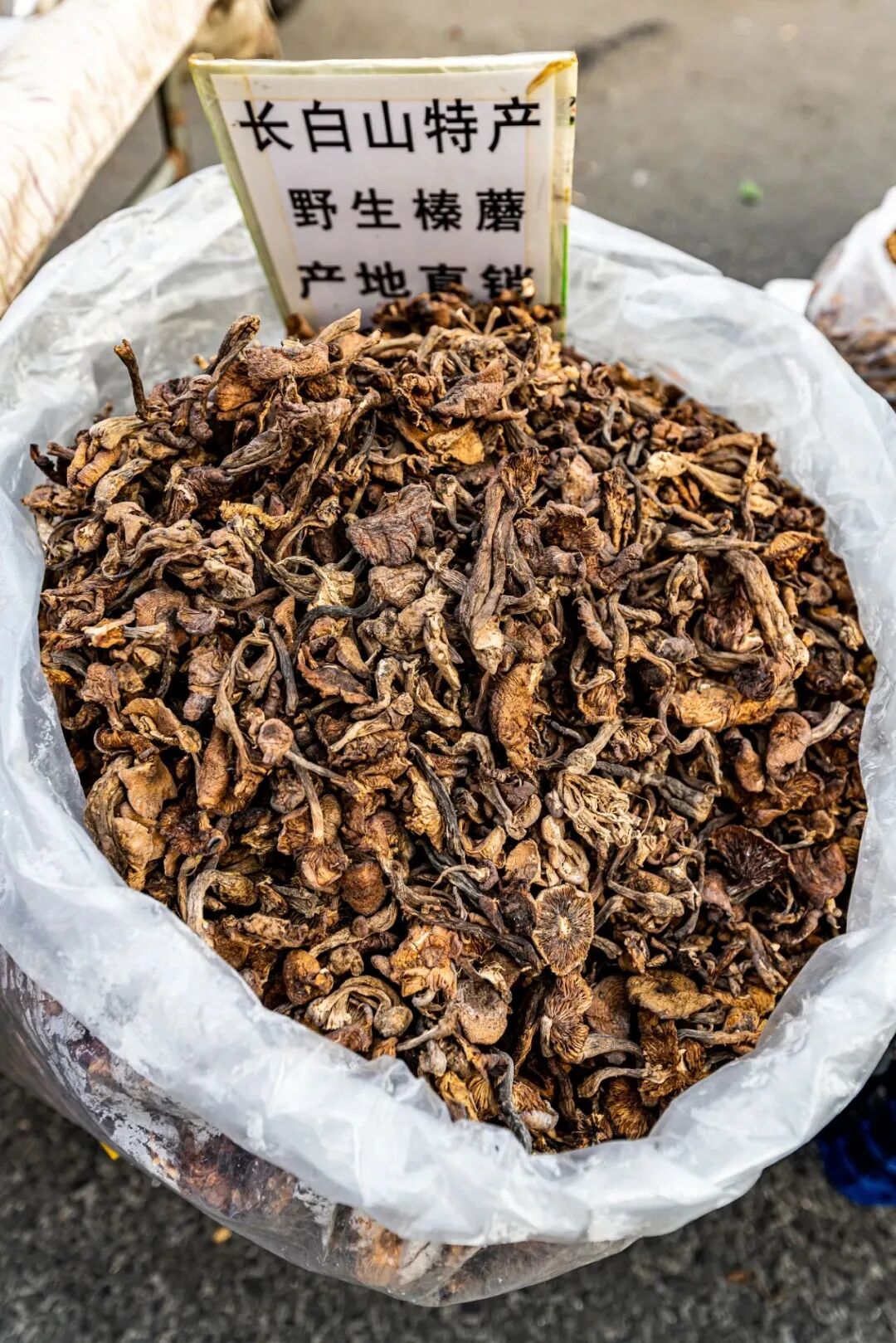 Image related to The Unsung King of Chinese Mushrooms Even Yunnan Bows To