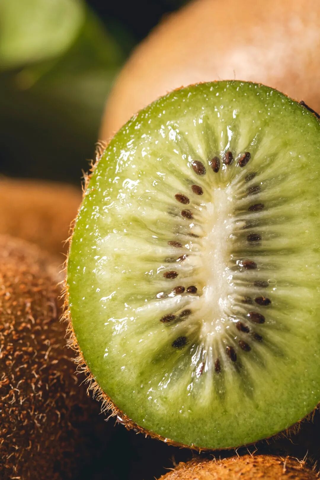 Image related to China's Most Underrated Fruit Kingdom: Sweetness Stretching from the Loess Plateau to Both Sides of the Qinling Mountains