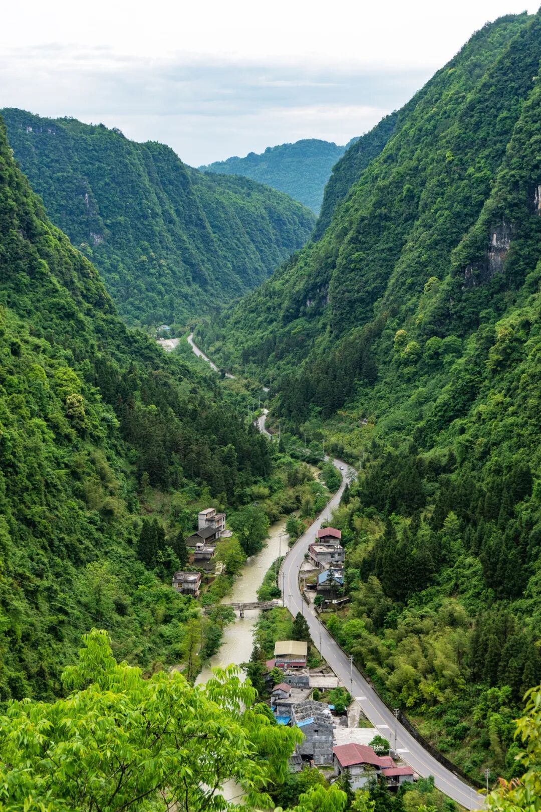 Image related to Hidden in Western Hunan: How Many Culinary Secrets Remain Untold?
