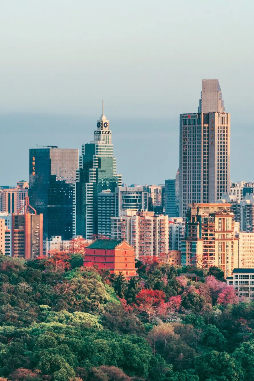 Image related to Guangzhou: What Makes It a Pioneer in So Many Fields?