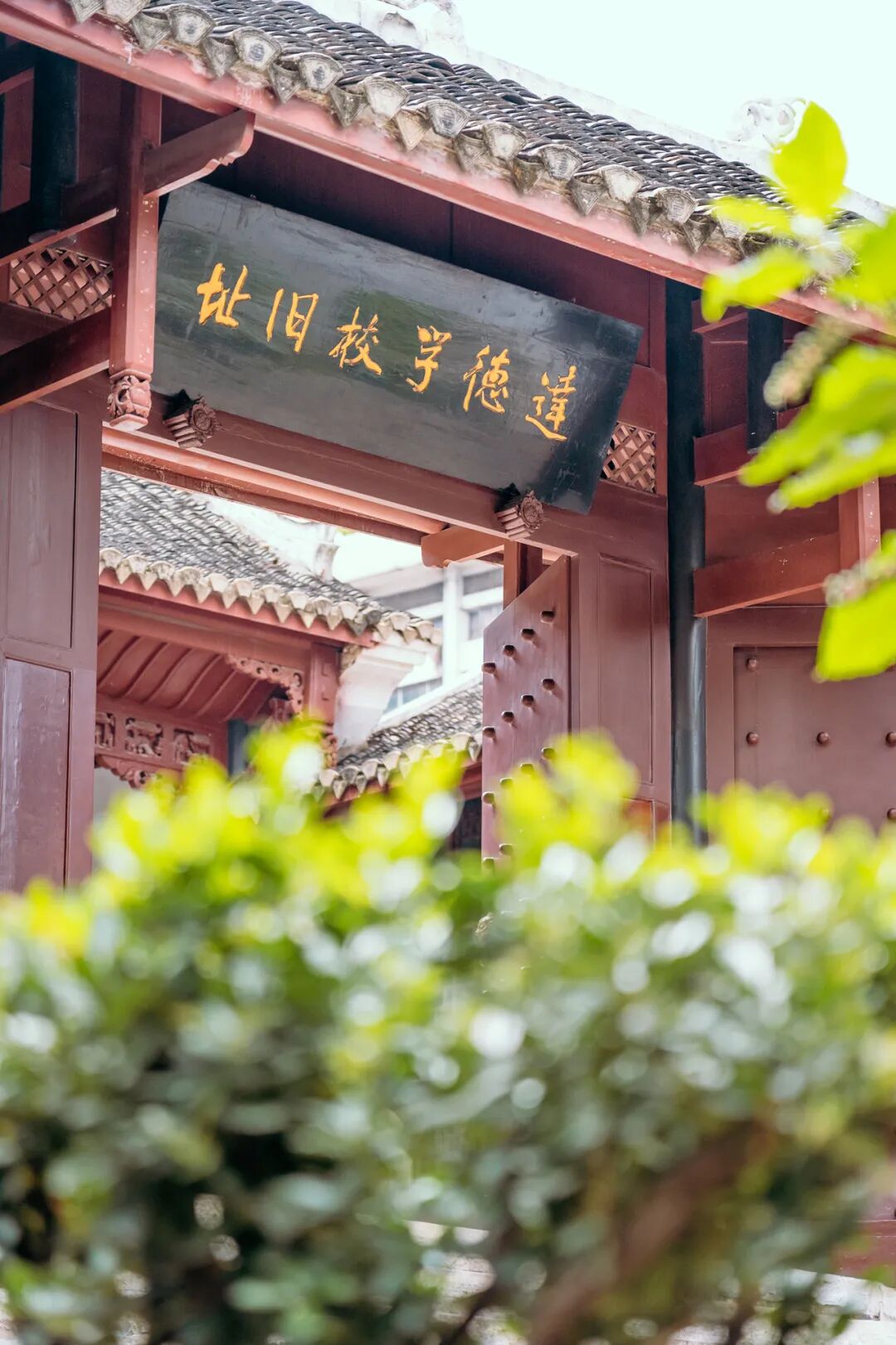 Image related to Why Has Guizhou Been Shaped into a Land of Infinite Diversity by People Across Time and Space?