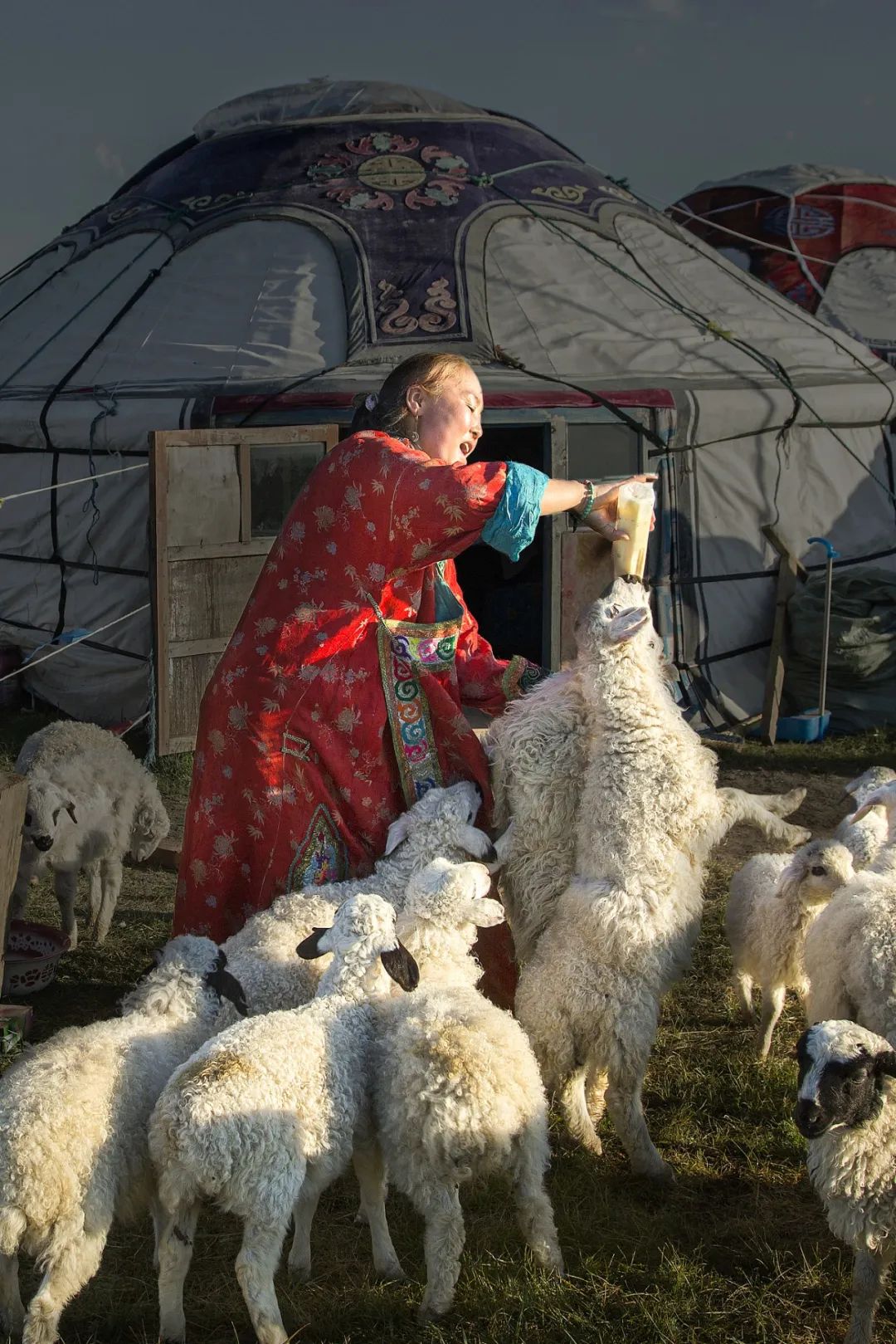 Image related to China's Top Lamb Province: Just How Extravagant Is Their Mutton Cuisine?