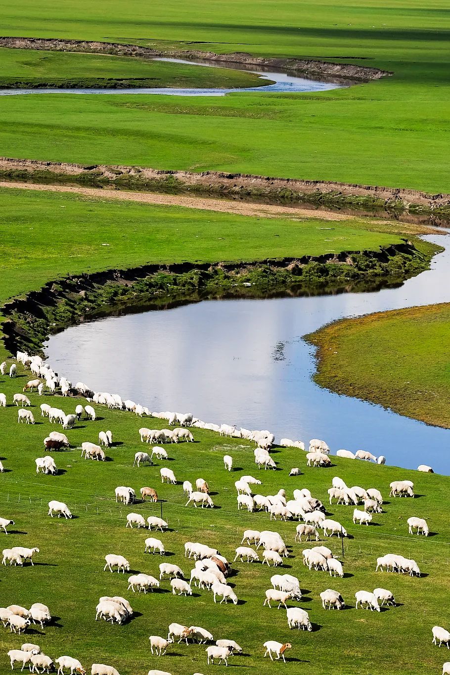 Image related to China's Top Lamb Province: Just How Extravagant Is Their Mutton Cuisine?