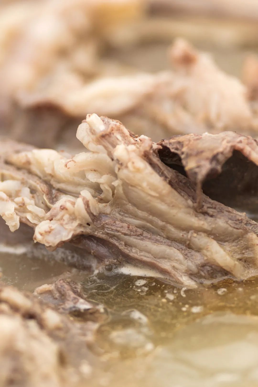 Image related to China's Top Lamb Province: Just How Extravagant Is Their Mutton Cuisine?