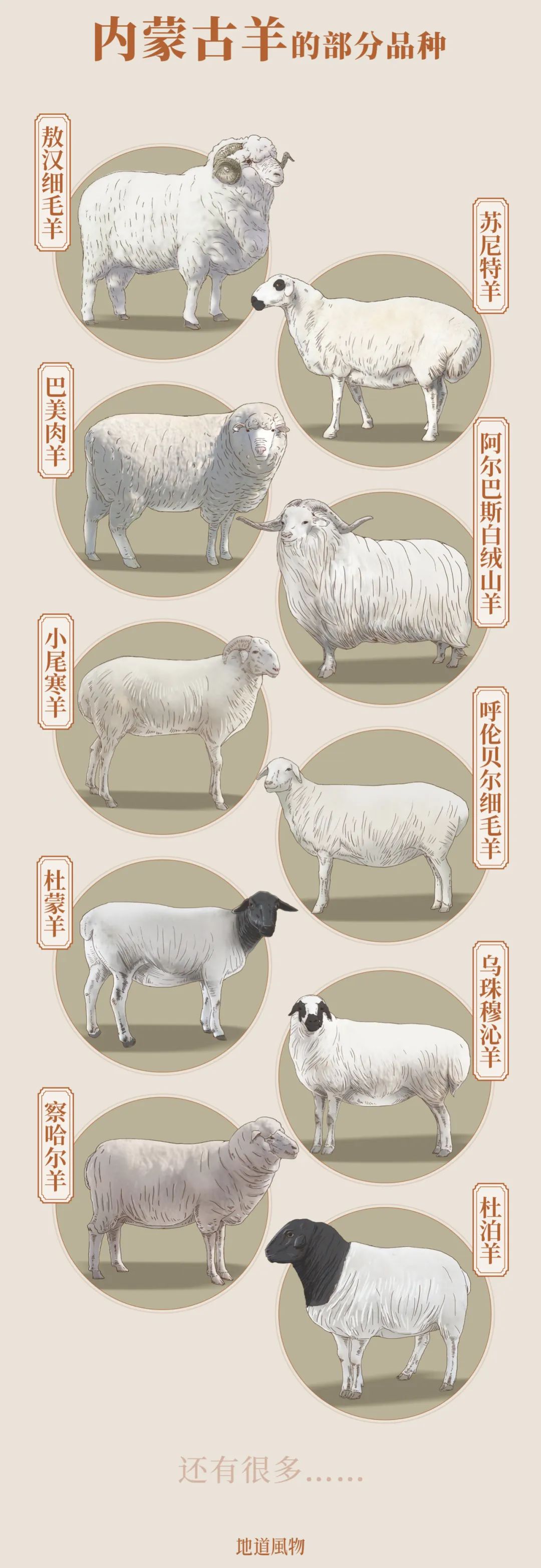 Image related to China's Top Lamb Province: Just How Extravagant Is Their Mutton Cuisine?