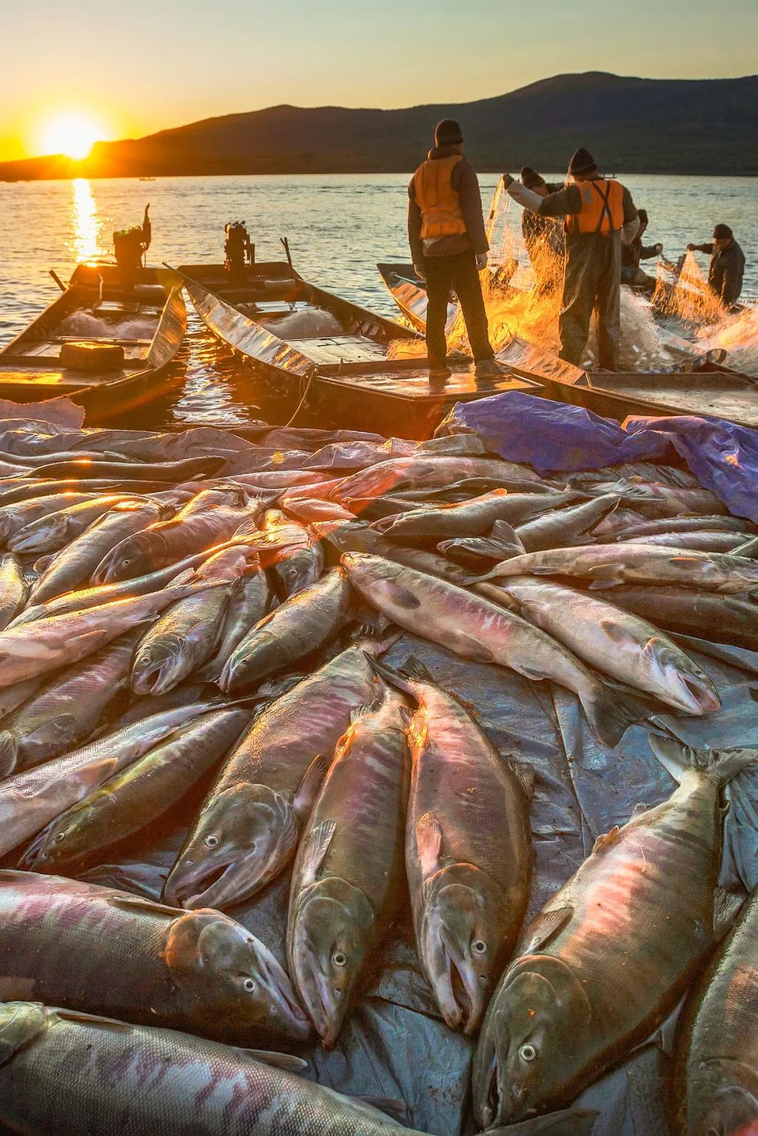 Image related to How Northeastern Chinese Master Fish Cuisine: A Revelation to Southerners