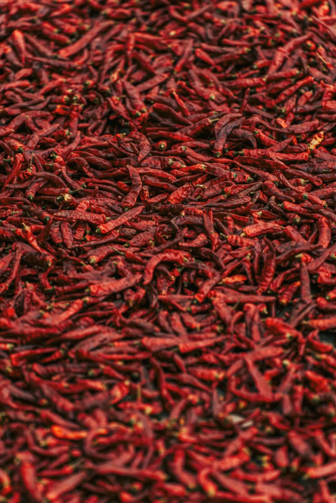 Image related to Why can a single bowl of Xiaomian represent Chongqing?