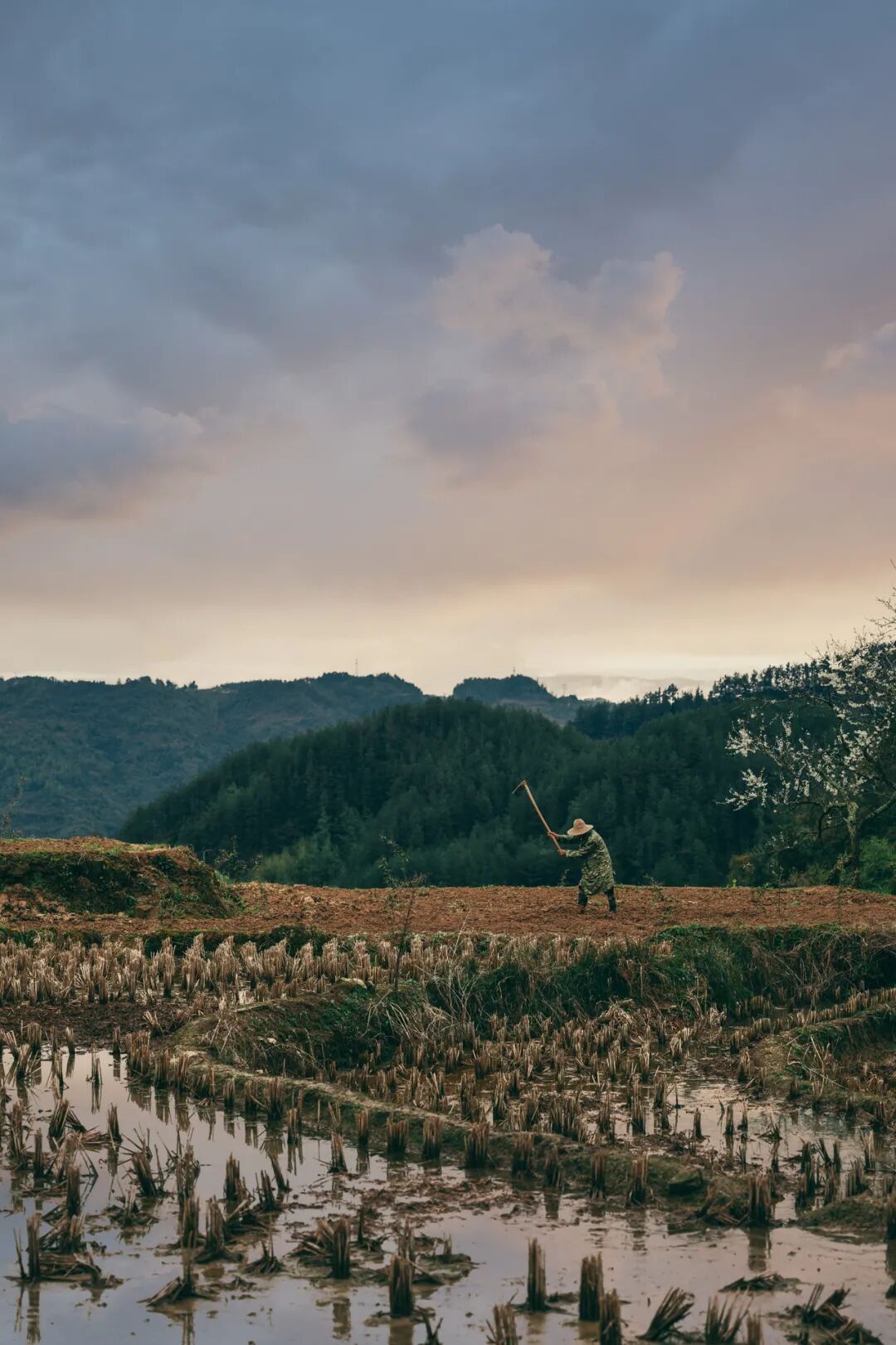 Image related to Why can a single bowl of Xiaomian represent Chongqing?