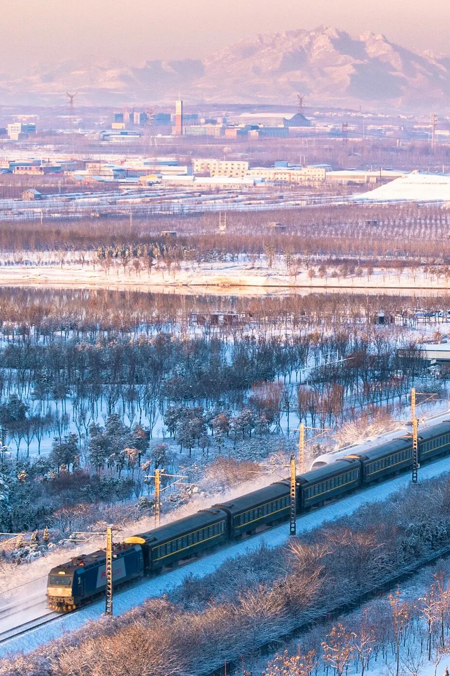 Image related to After the Successful "Zibo Barbecue Pilgrimage," We Discovered a Surreal and Unconventional Side of the City...