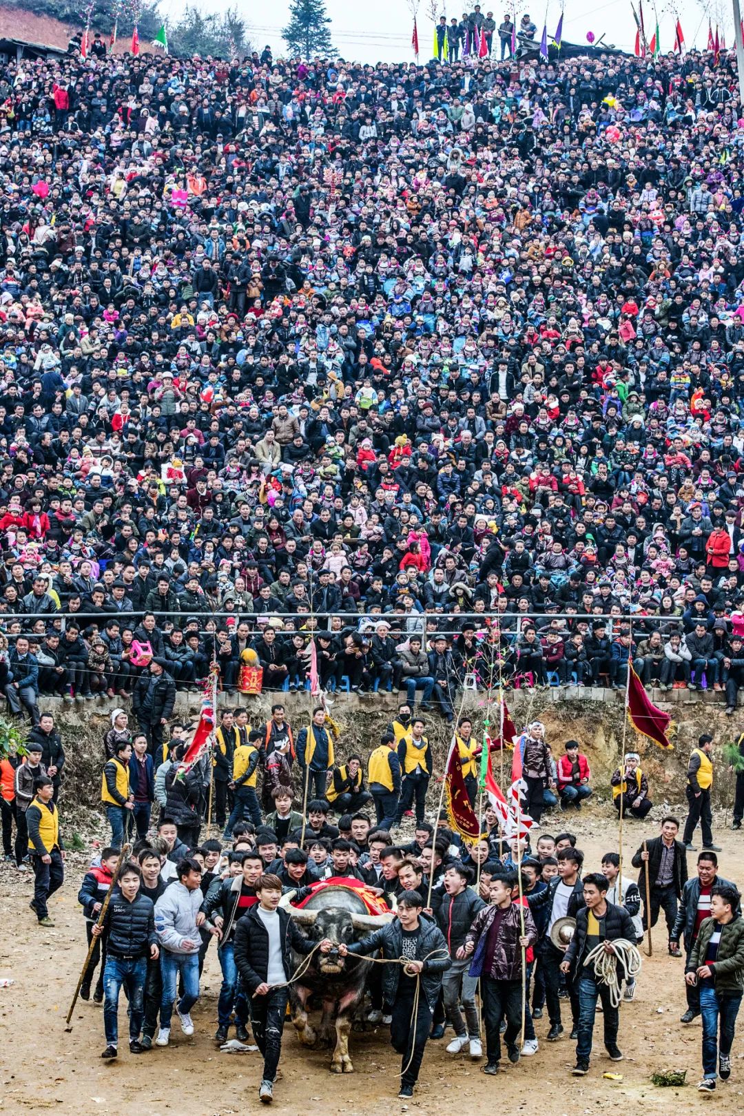 Image related to Why Guizhou is China's Best-Kept Winter Treasure Destination?