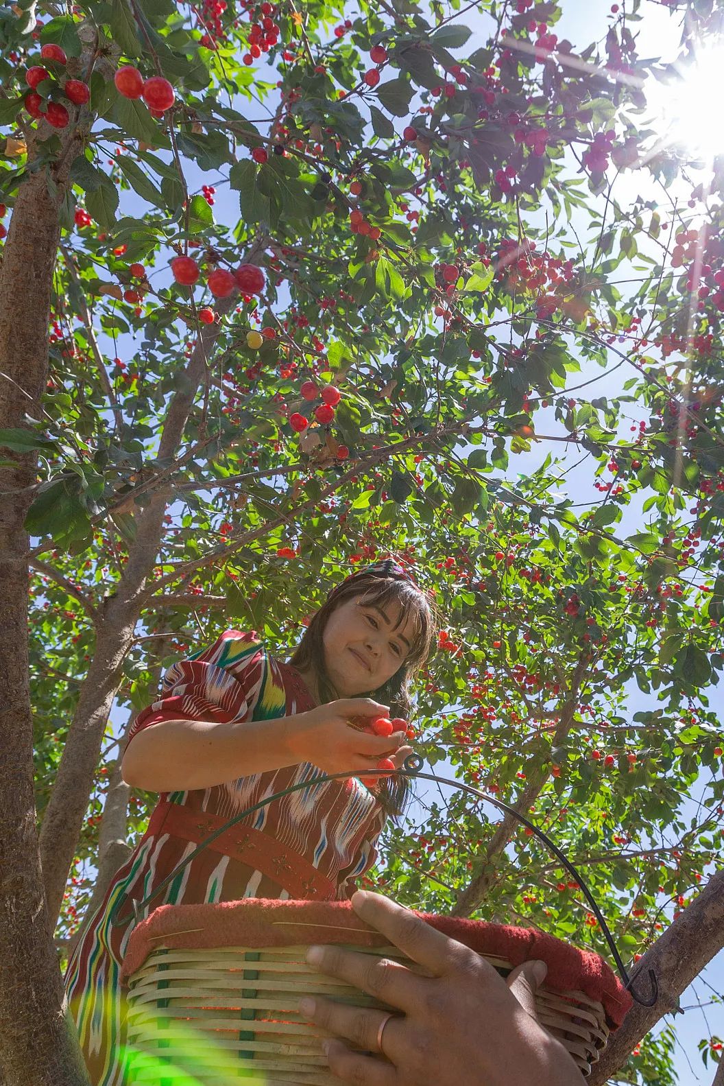 Image related to China's Hottest Fruit Unites the Nation's Summers