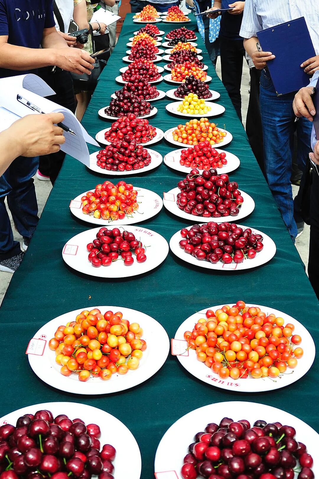 Image related to China's Hottest Fruit Unites the Nation's Summers