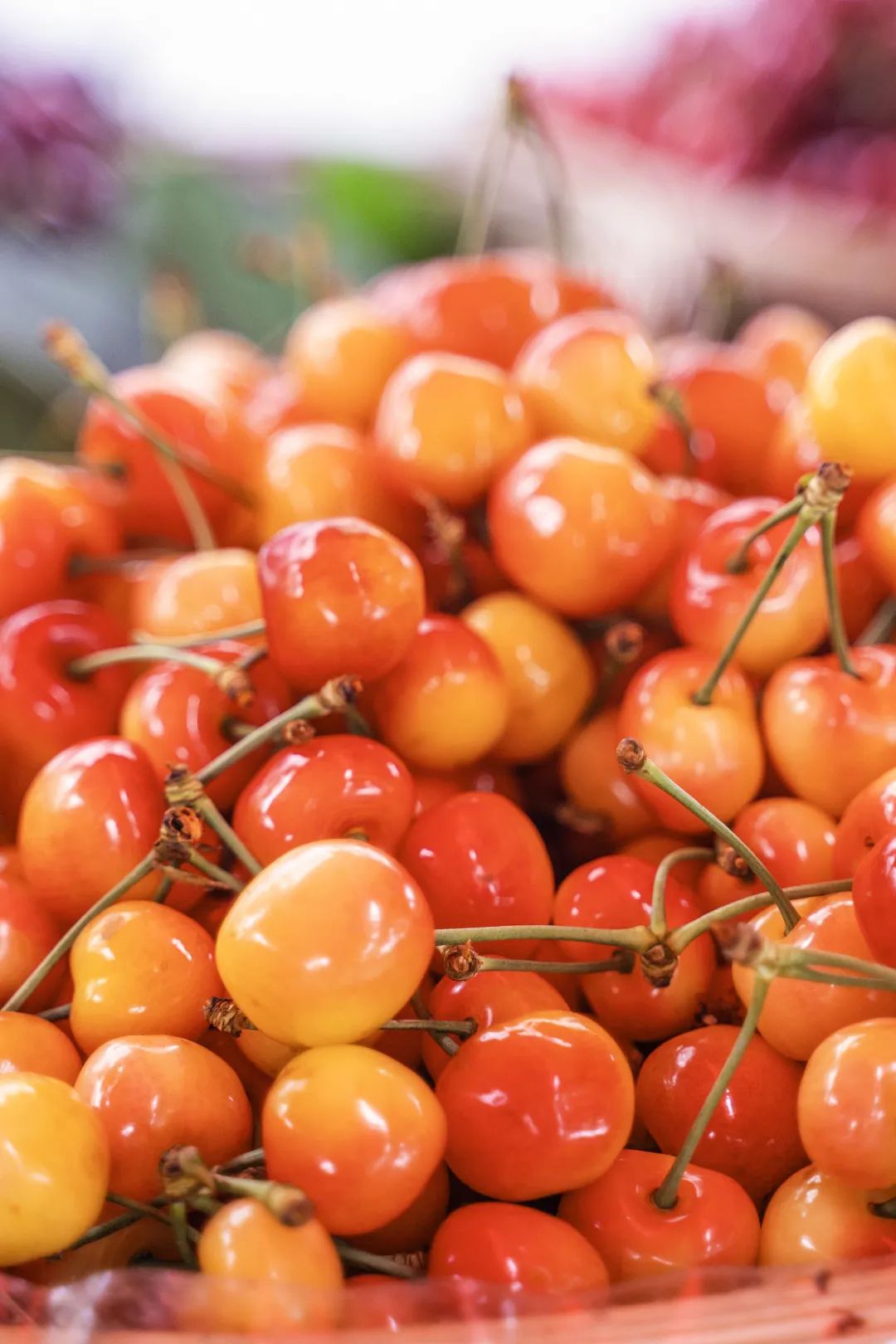 Image related to China's Hottest Fruit Unites the Nation's Summers