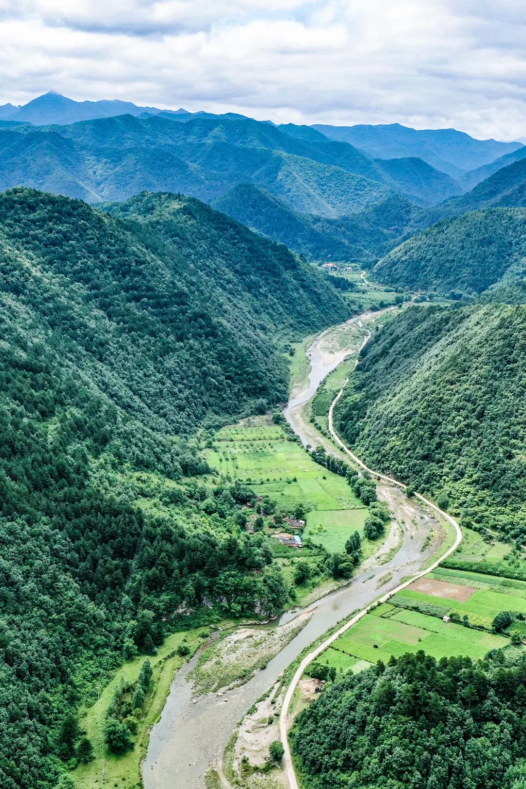 Image related to China's Hottest Fruit Unites the Nation's Summers