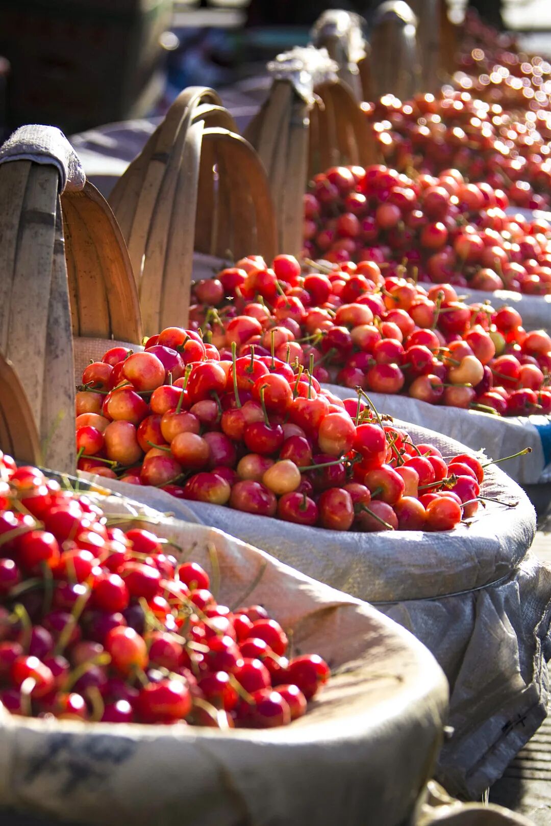 Image related to China's Hottest Fruit Unites the Nation's Summers