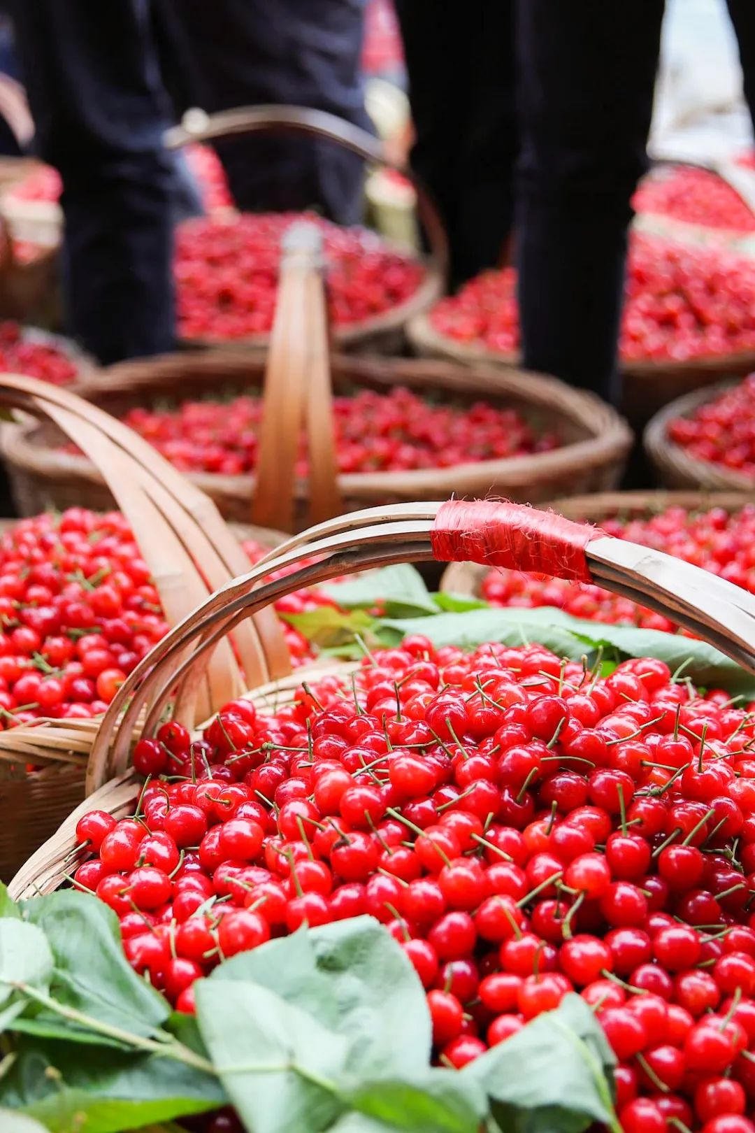 Image related to China's Hottest Fruit Unites the Nation's Summers