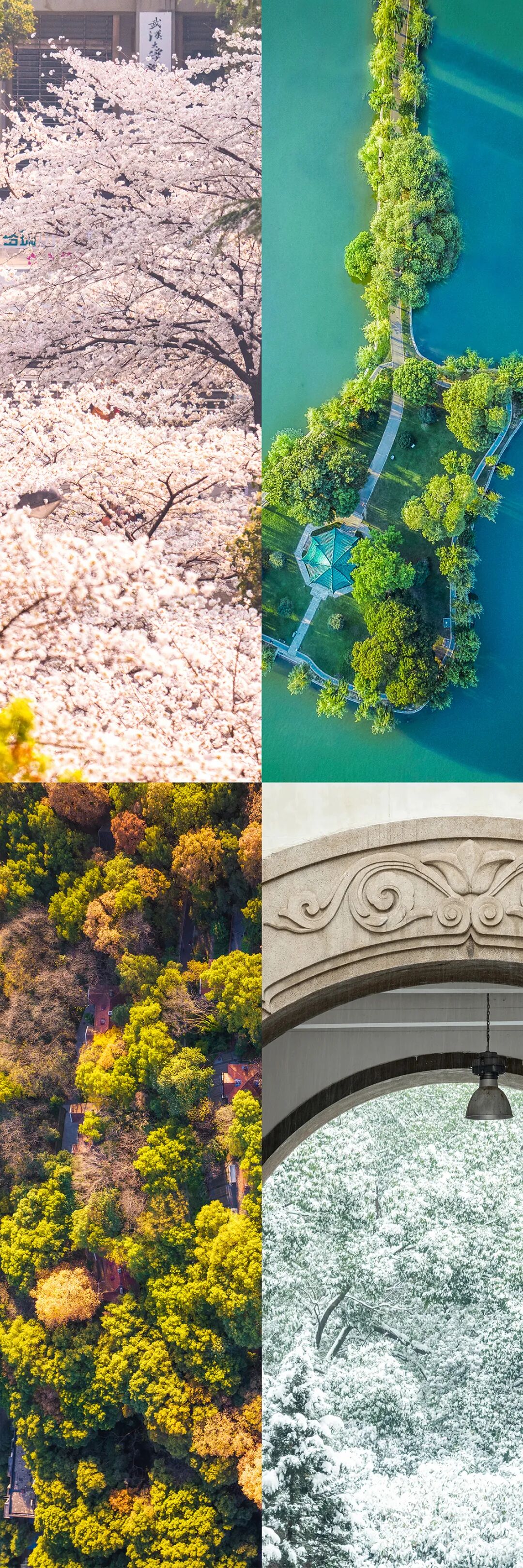 Image related to China's Most Beautiful University on Luojia Mountain Celebrates Its 131st Birthday Today!