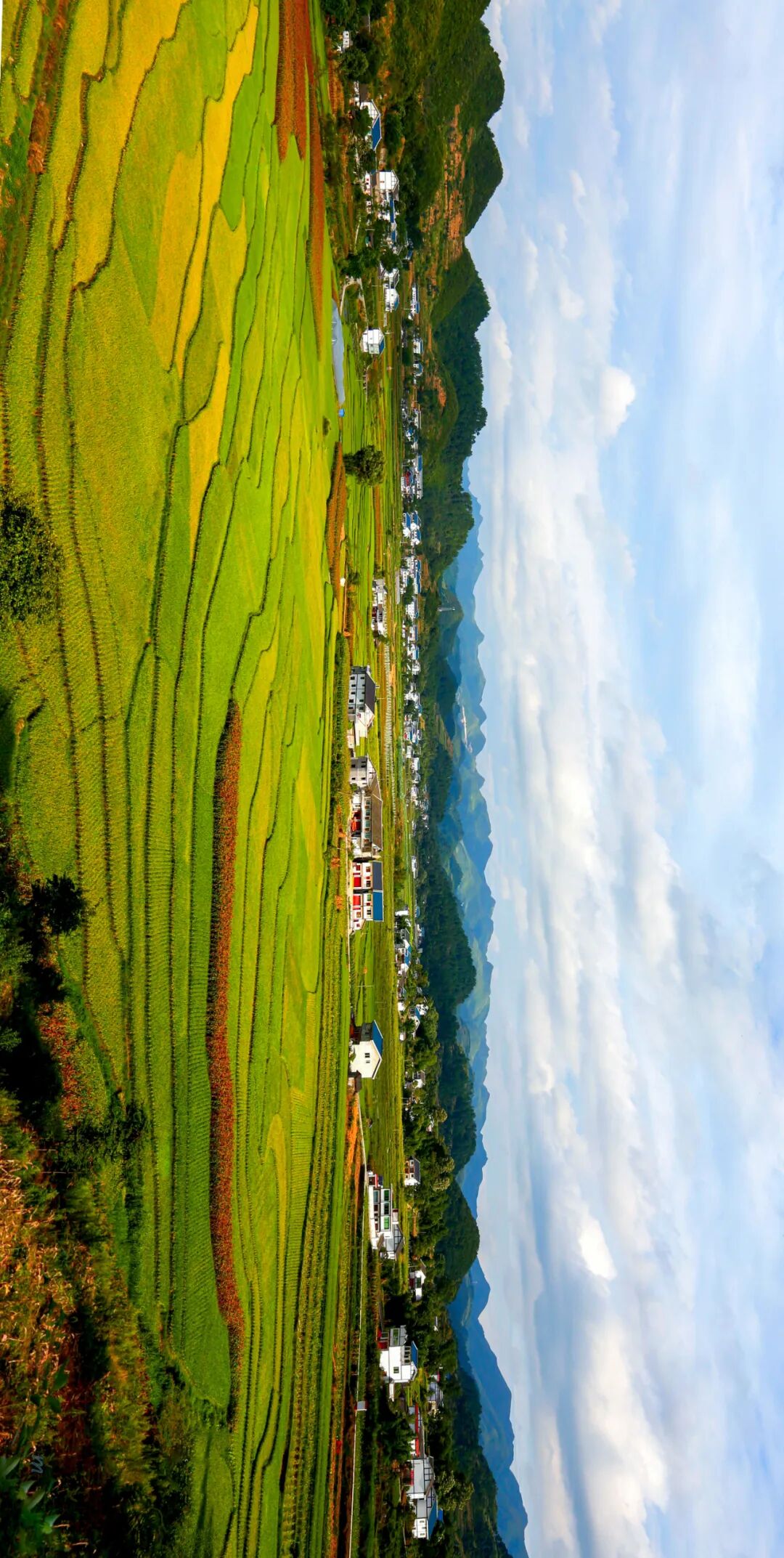 Image related to How the "Guizhou Choice" of the Post-90s and Post-00s 90 Years Ago Changed China