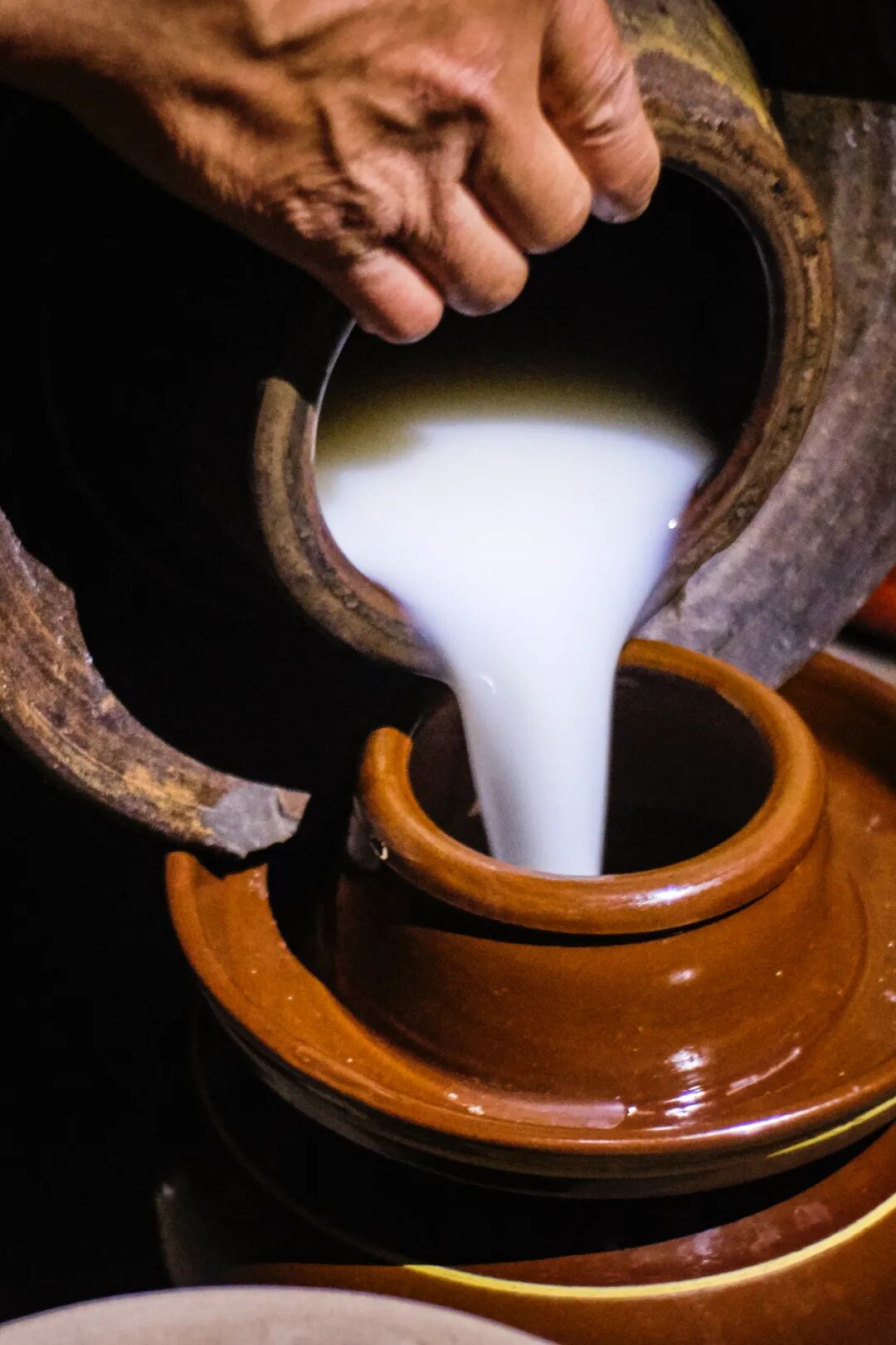 Image related to Why Is Guizhou the Global Hub for Premium Fermented Foods?