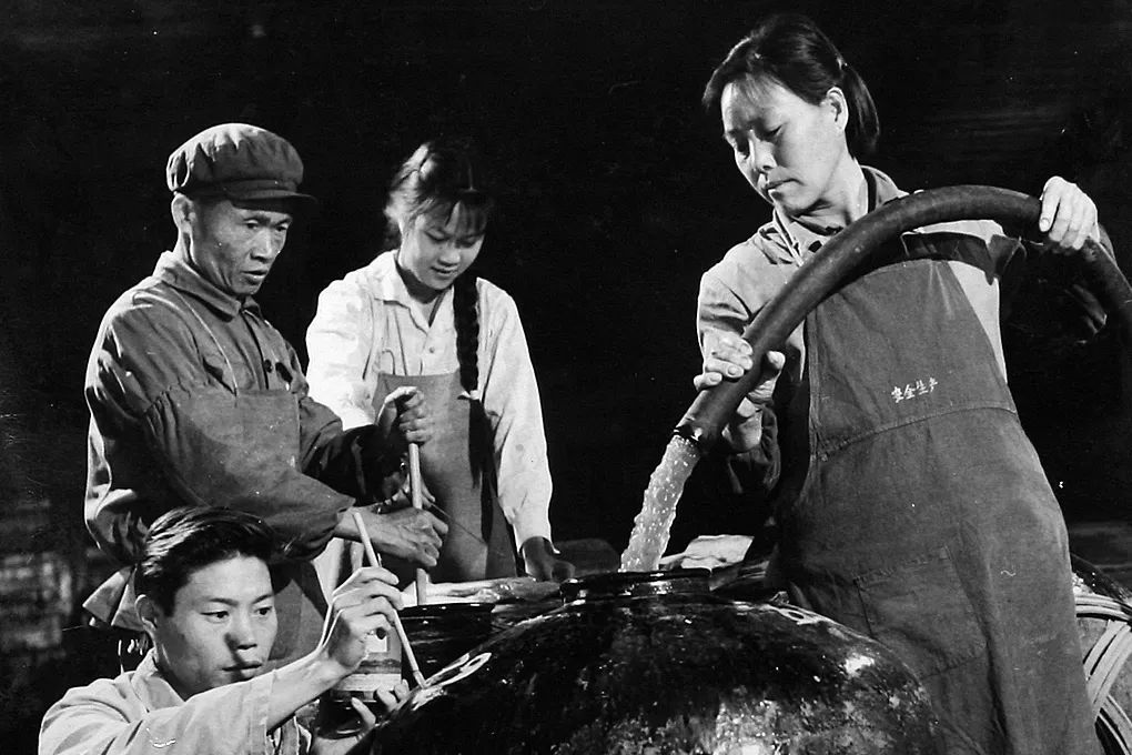 Image related to Why Is Guizhou the Global Hub for Premium Fermented Foods?