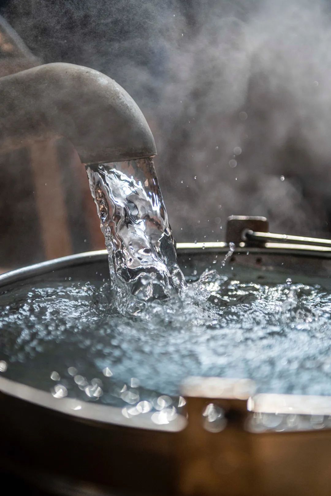 Image related to Why Is Guizhou the Global Hub for Premium Fermented Foods?