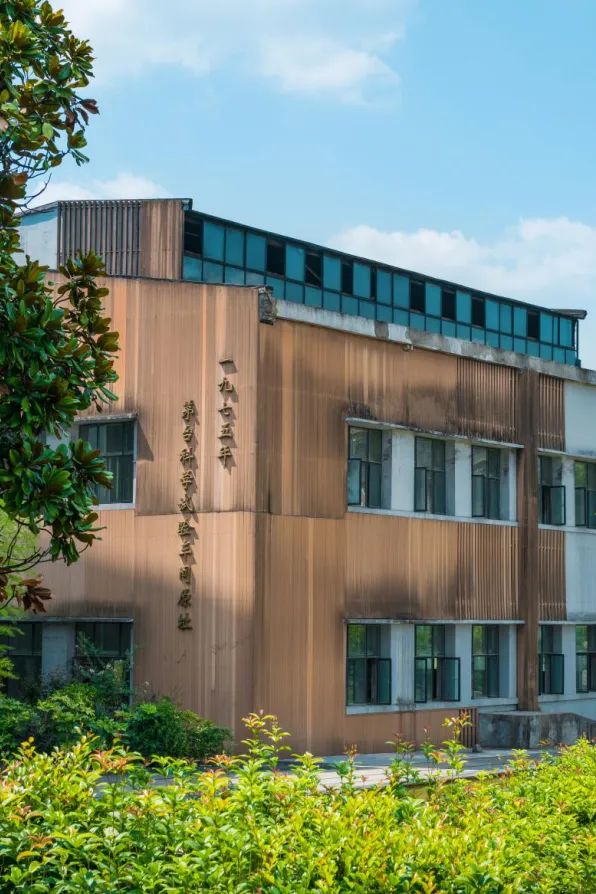 Image related to Why Is Guizhou the Global Hub for Premium Fermented Foods?