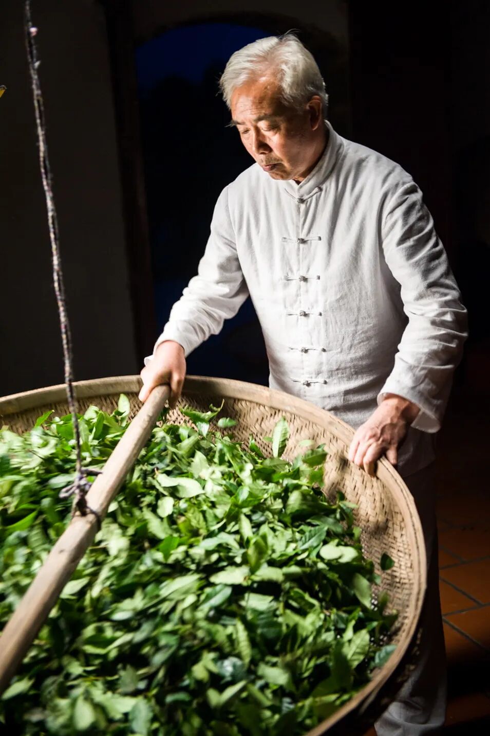 Image related to China's Top Tea-Producing Province: A Millennia-Old Legacy of Elegance and Competition
