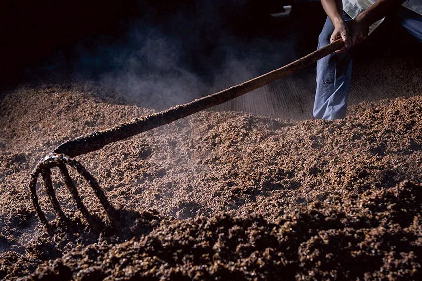 Image related to Why Is the Sorghum in the City of Wine So Red?