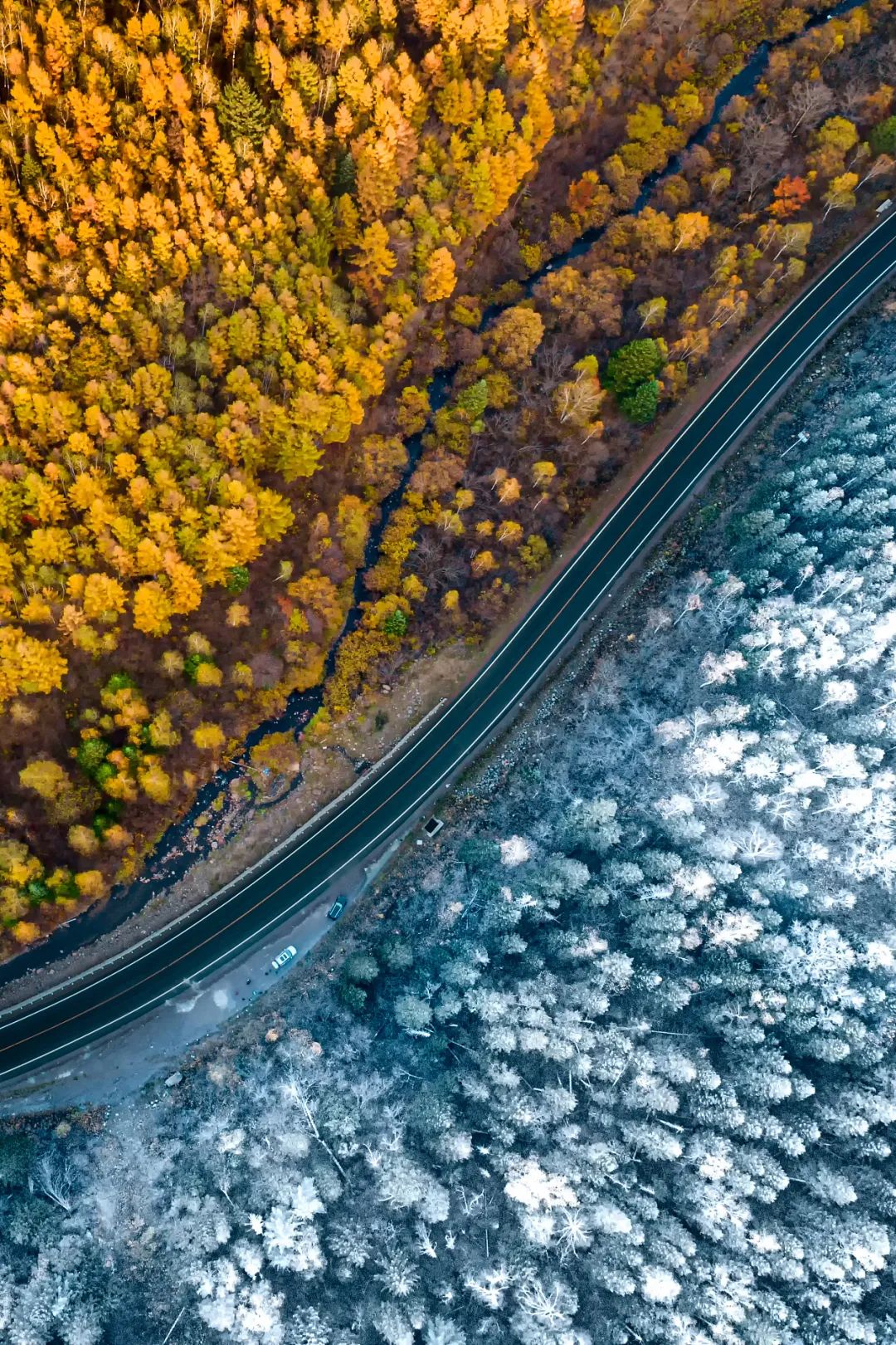 Image related to Changbai Mountain: What Makes It Northeast China's Number One Peak?