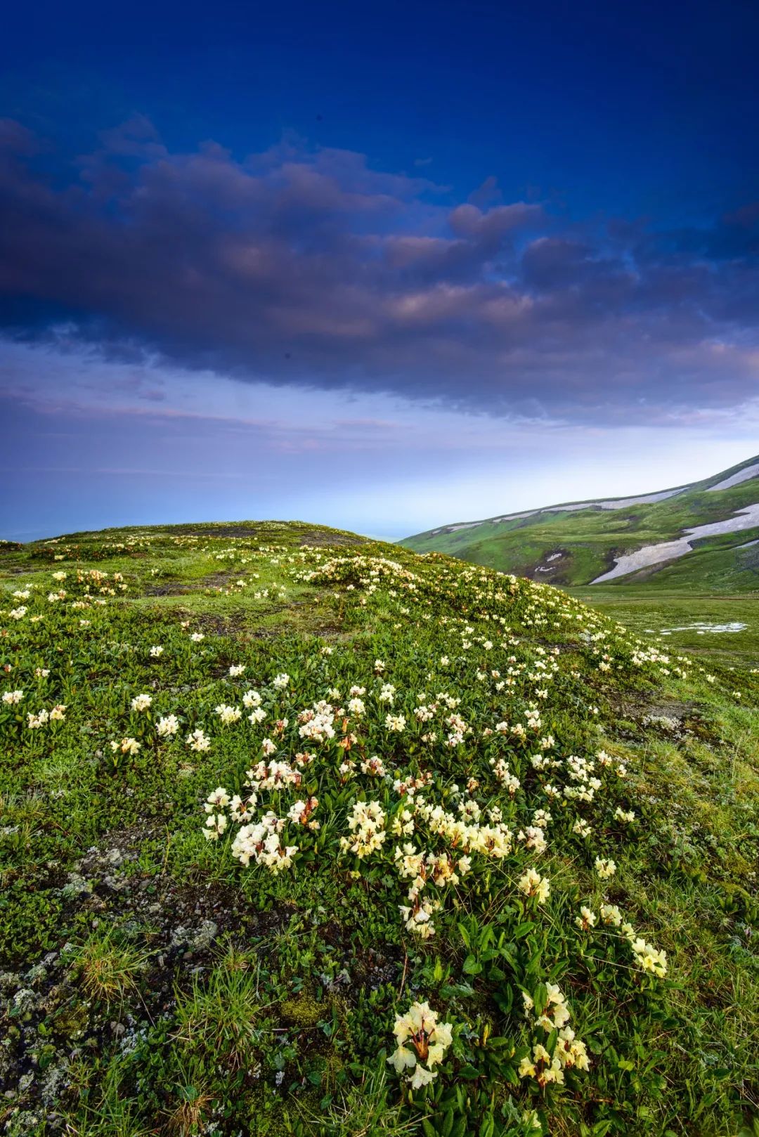 Image related to Changbai Mountain: What Makes It Northeast China's Number One Peak?