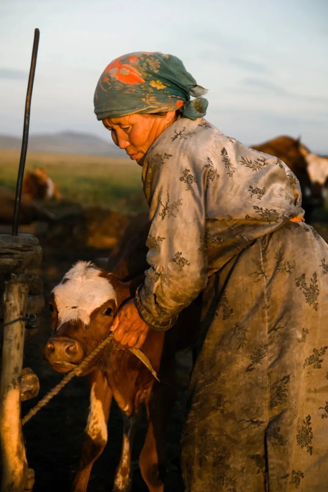 Image related to How Did China's Highest Per Capita GDP City Emerge in a Northwestern Desert?