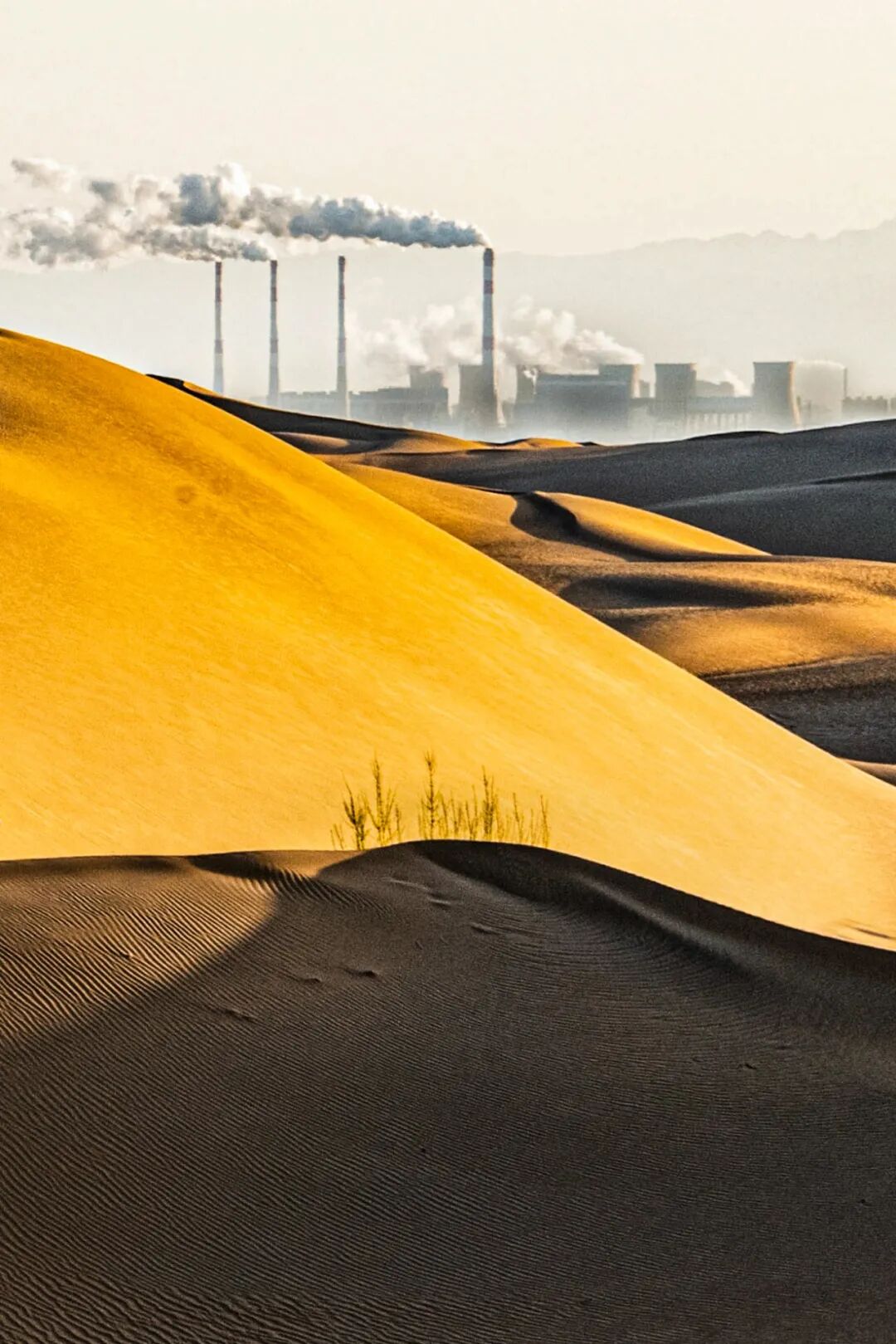 Image related to How Did China's Highest Per Capita GDP City Emerge in a Northwestern Desert?