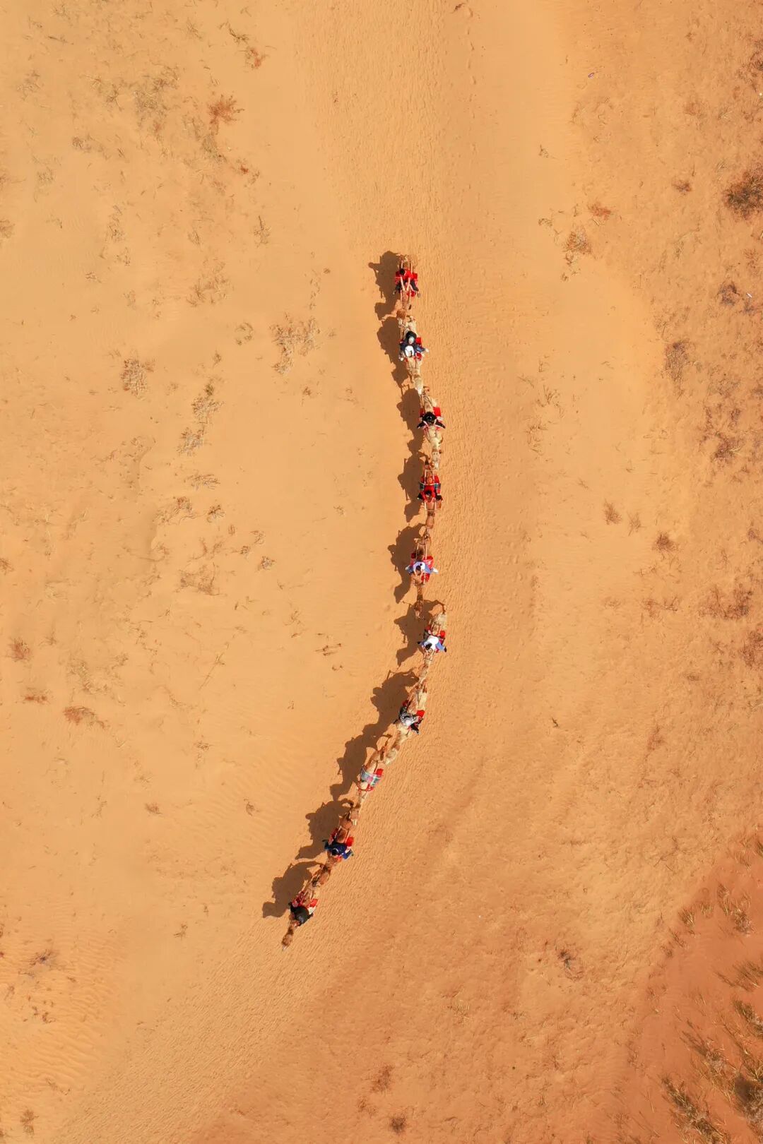 Image related to How Did China's Highest Per Capita GDP City Emerge in a Northwestern Desert?