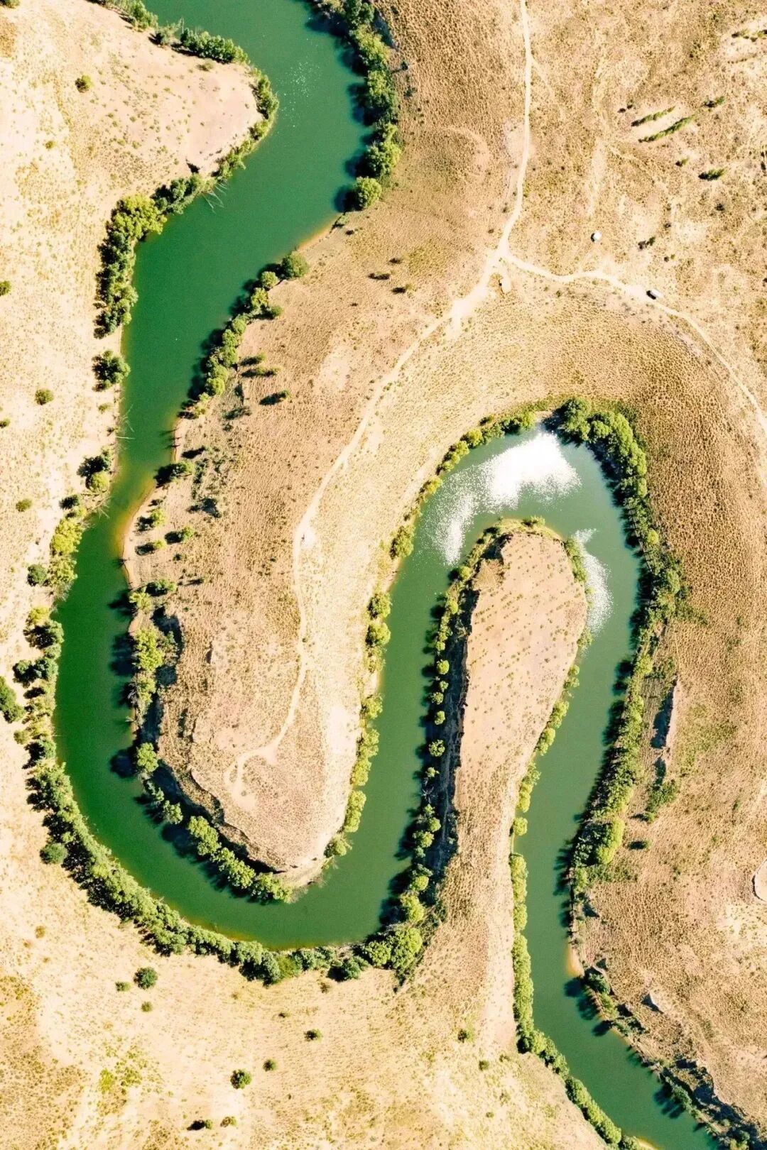 Image related to How Did China's Highest Per Capita GDP City Emerge in a Northwestern Desert?