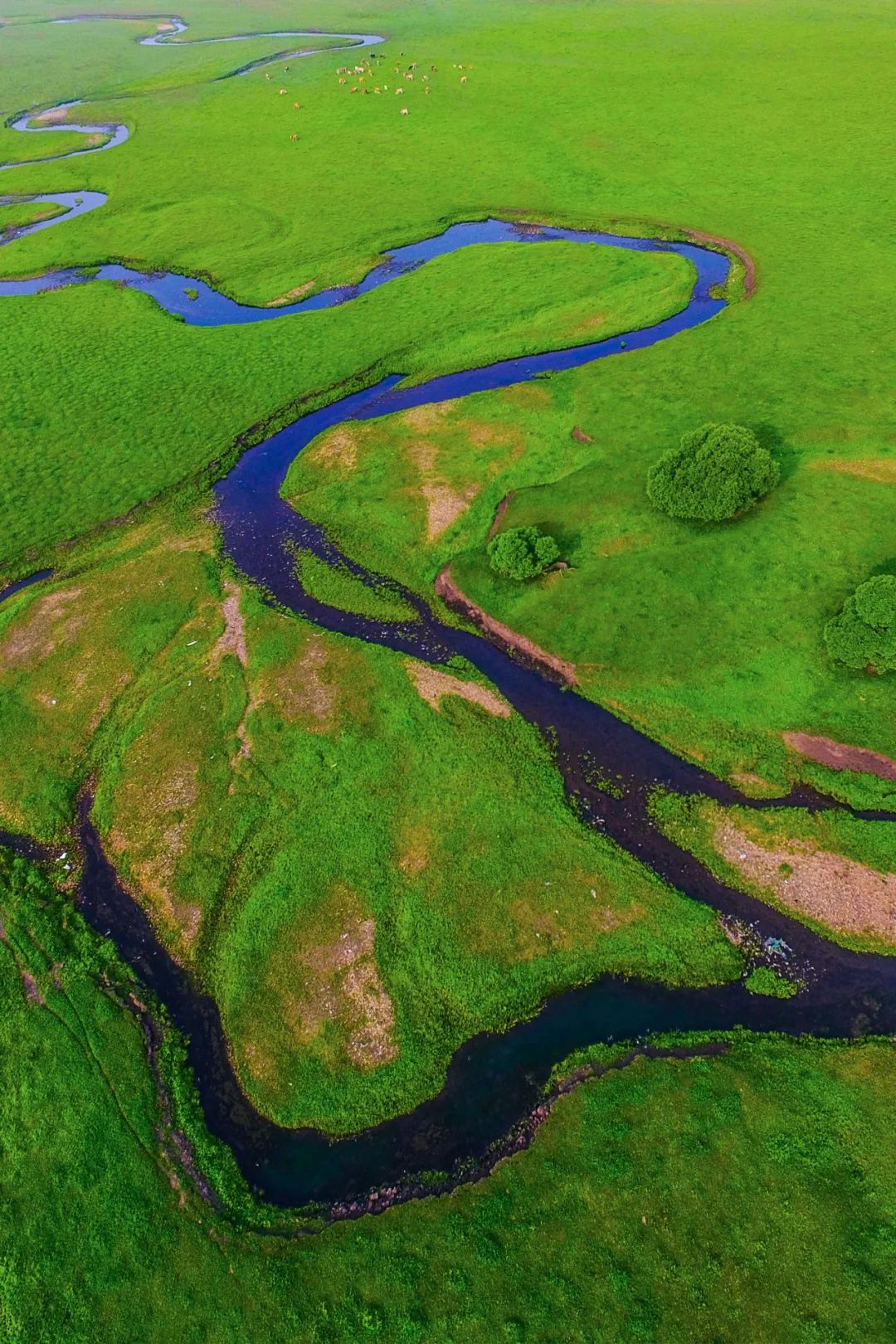 Image related to Why the Greater Khingan Range Matters So Much to China