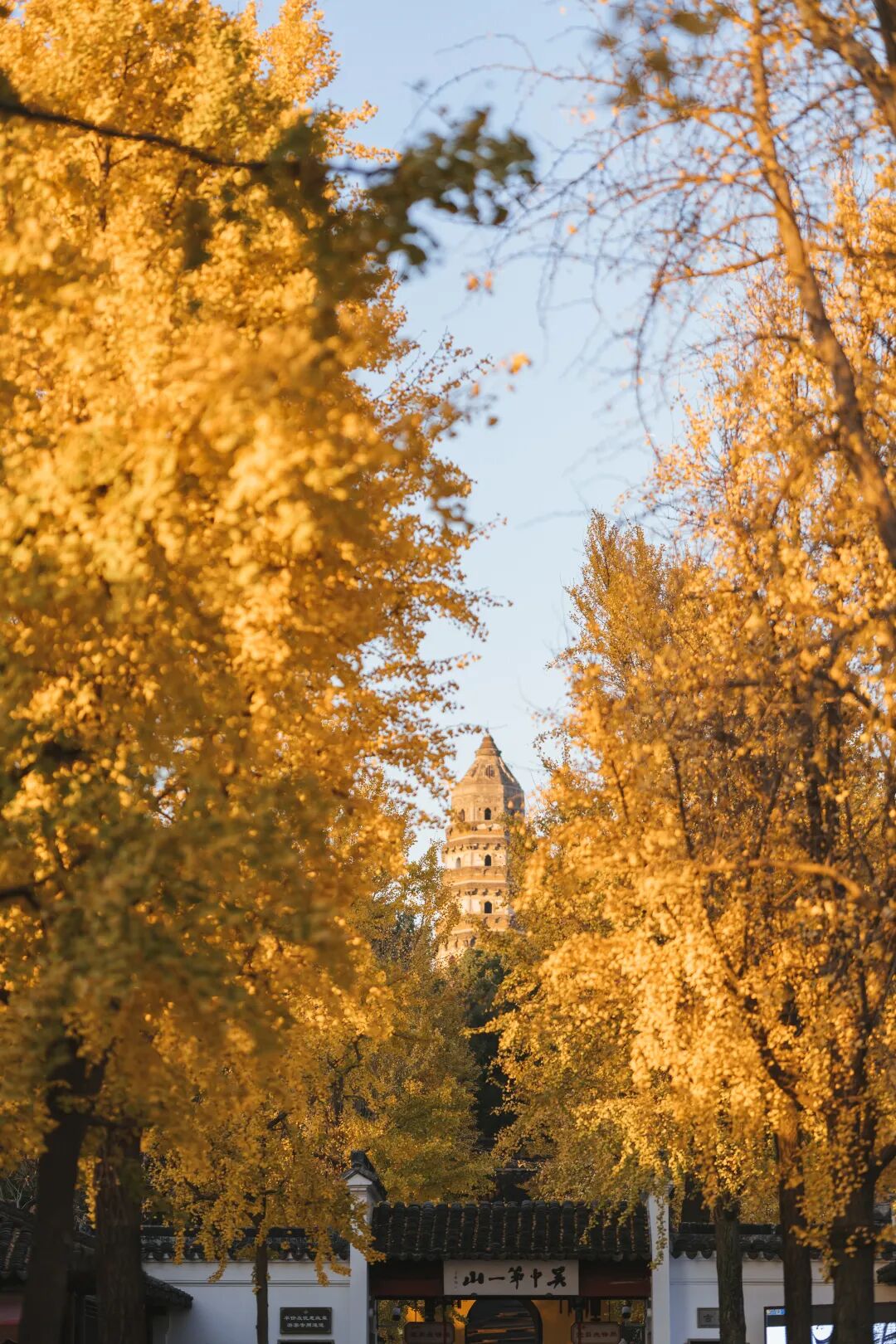 Image related to The Best Flavors of Autumn Are Hidden in China's Top Prefecture-Level City