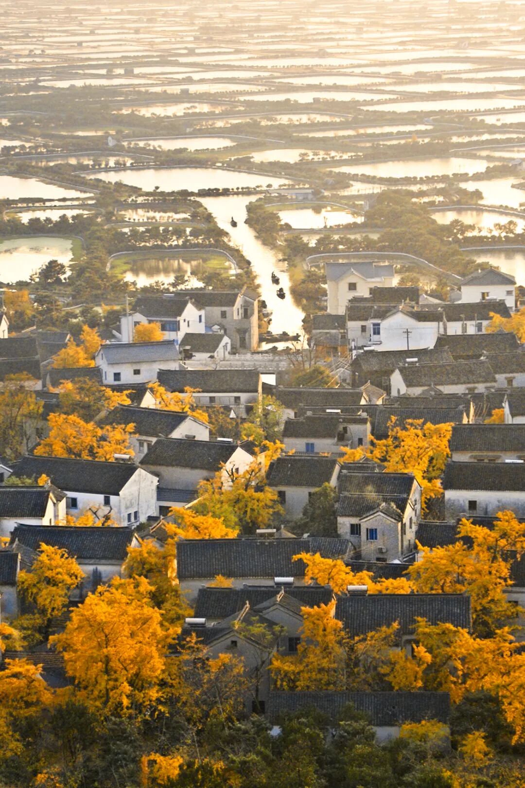 Image related to The Best Flavors of Autumn Are Hidden in China's Top Prefecture-Level City