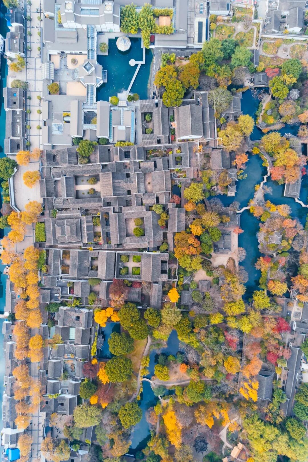 Image related to The Best Flavors of Autumn Are Hidden in China's Top Prefecture-Level City