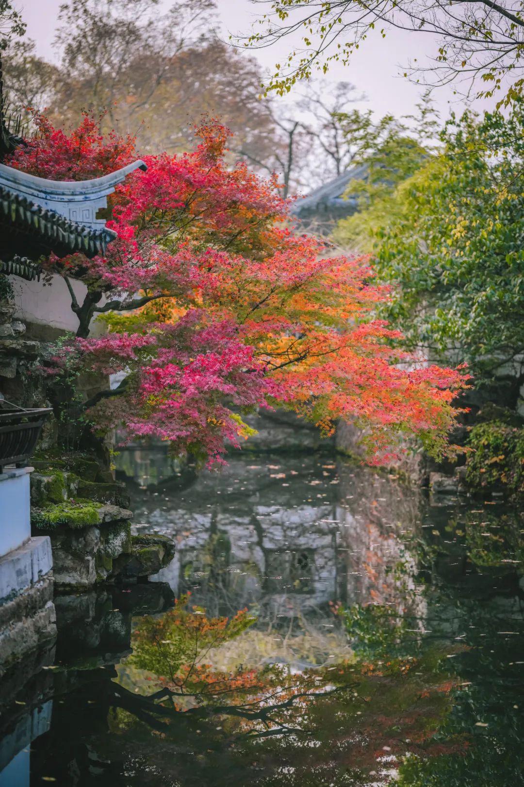 Image related to The Best Flavors of Autumn Are Hidden in China's Top Prefecture-Level City
