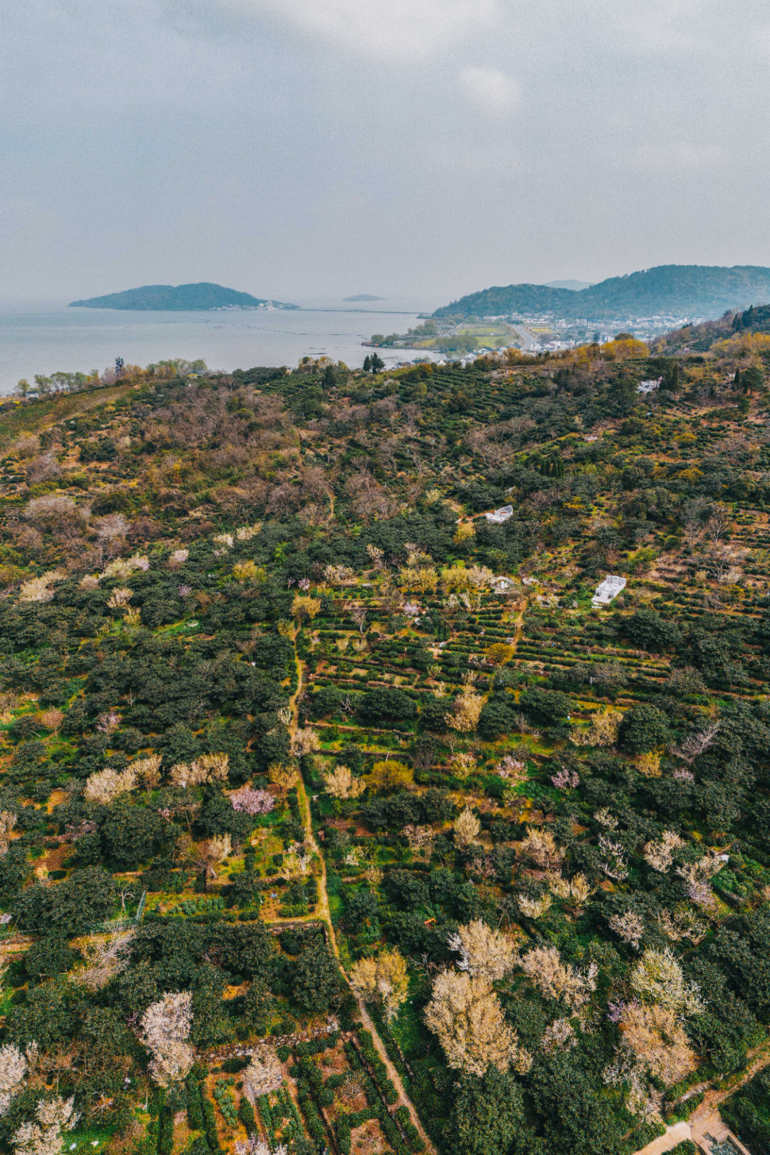 Image related to The Best Flavors of Autumn Are Hidden in China's Top Prefecture-Level City