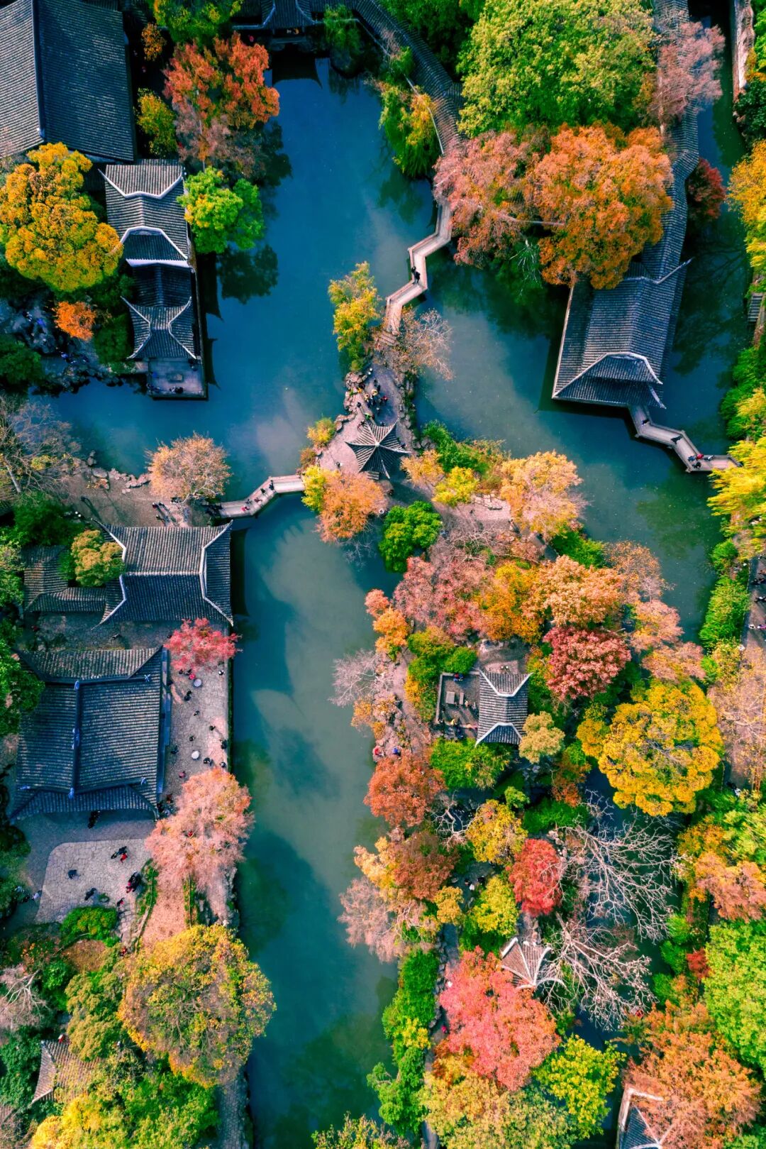 Image related to The Best Flavors of Autumn Are Hidden in China's Top Prefecture-Level City
