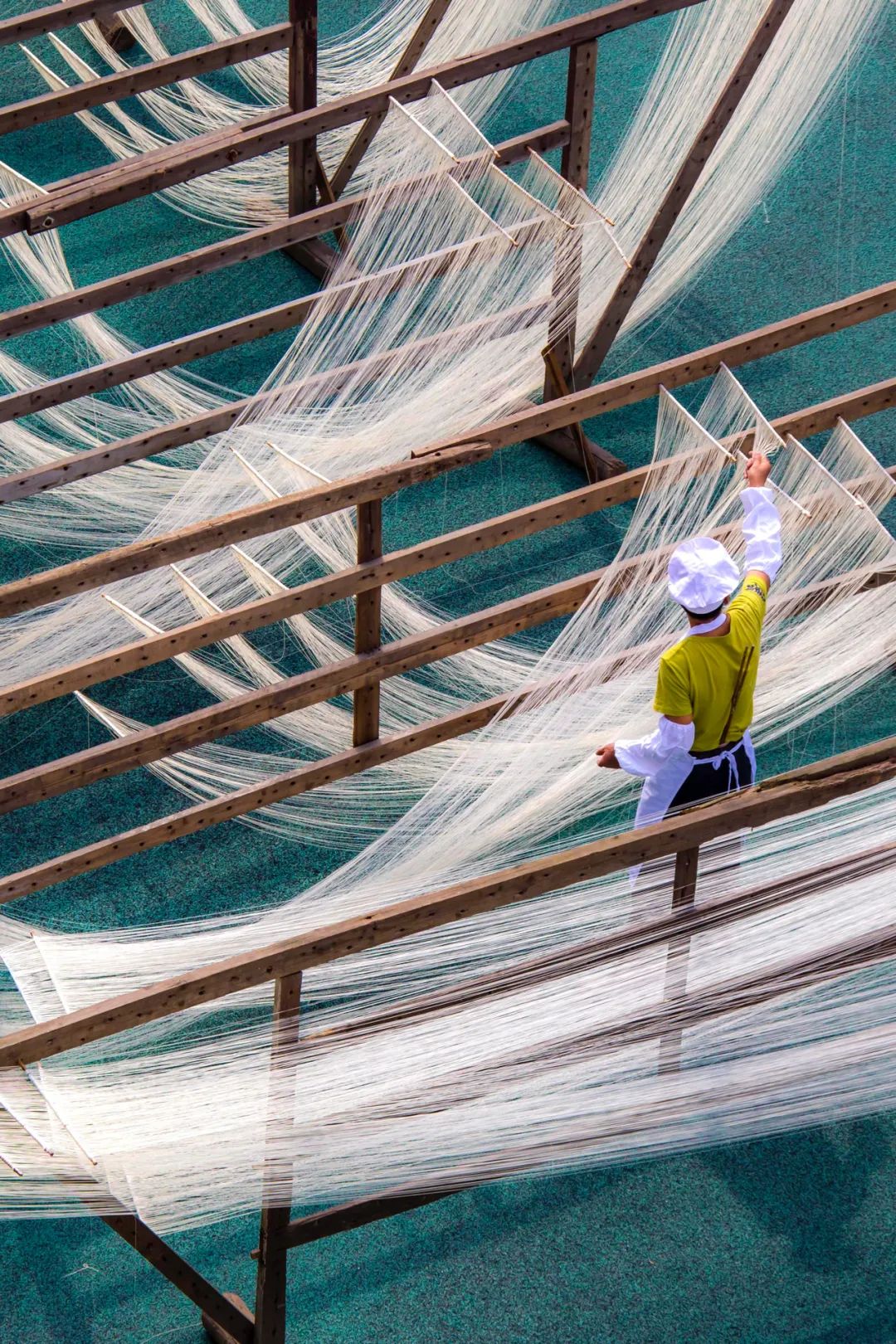 Image related to From Mountain Delicacies to Ocean Bounty: How China's Top Dried Goods Province Masters Freshness