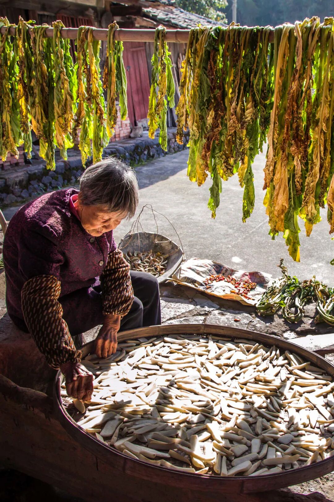 Image related to From Mountain Delicacies to Ocean Bounty: How China's Top Dried Goods Province Masters Freshness