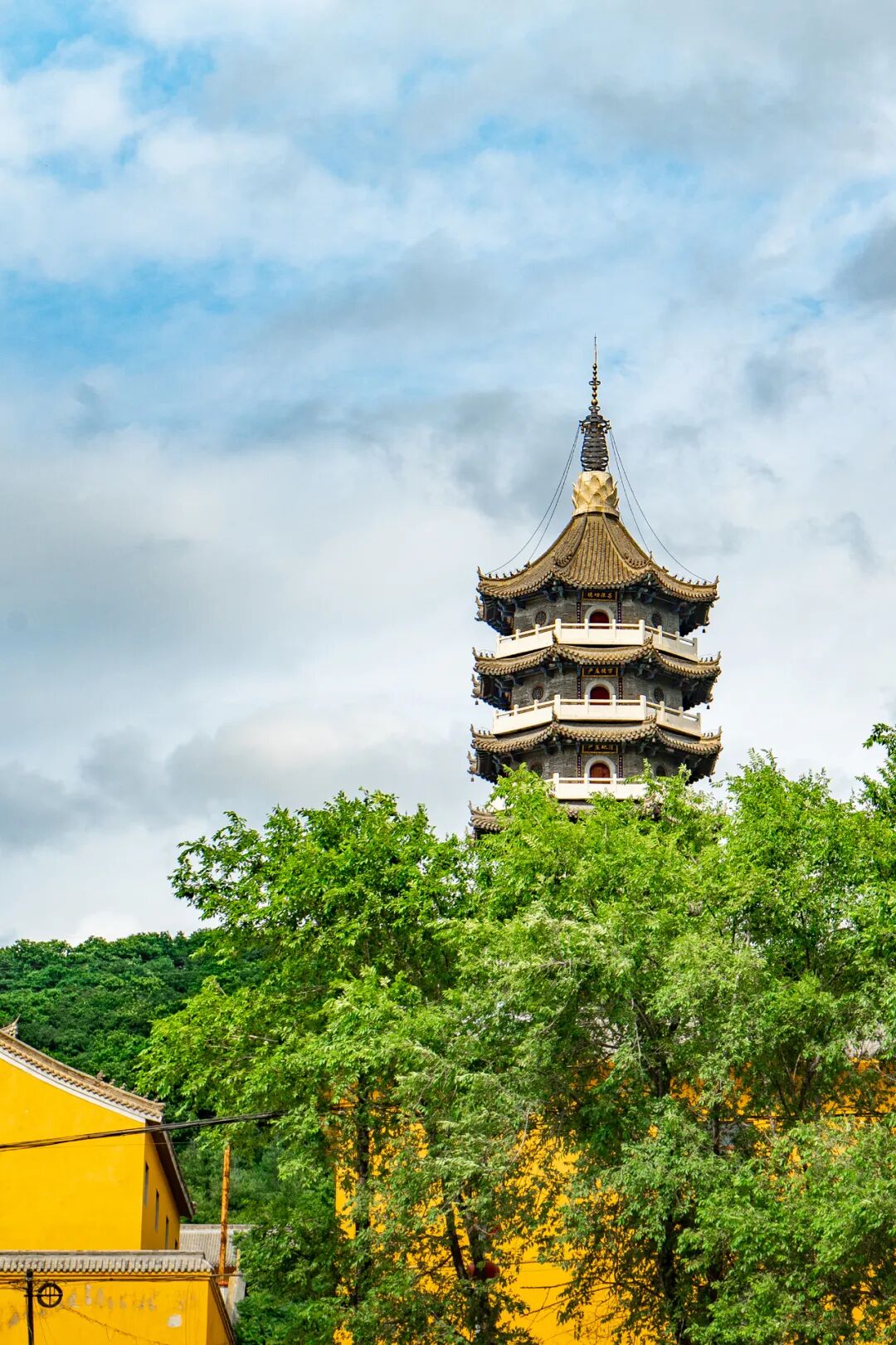 Image related to Liaoning: The Toughest City in the Northeast—Why Does It Embody the Entire Region?