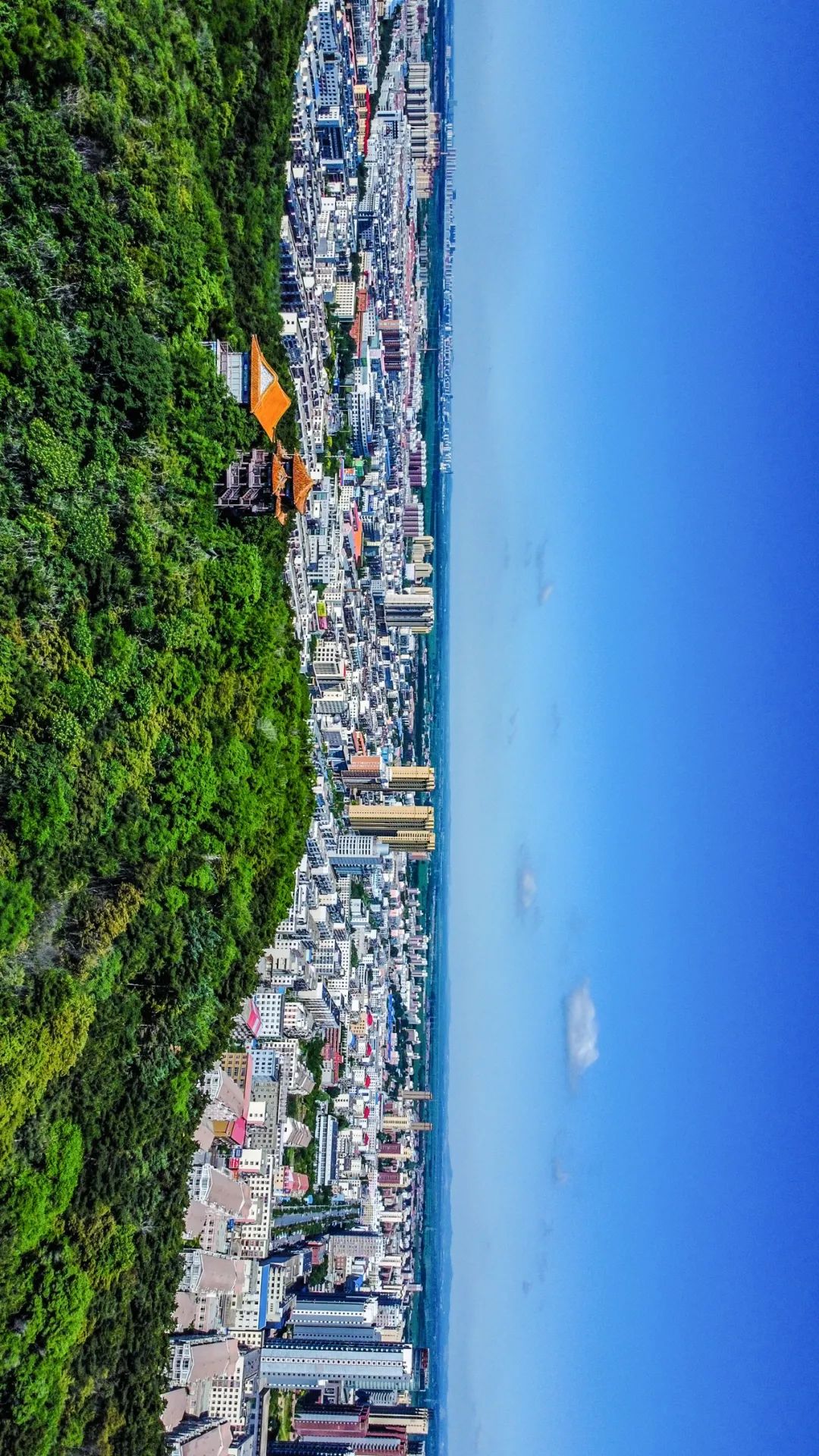 Image related to Liaoning: The Toughest City in the Northeast—Why Does It Embody the Entire Region?