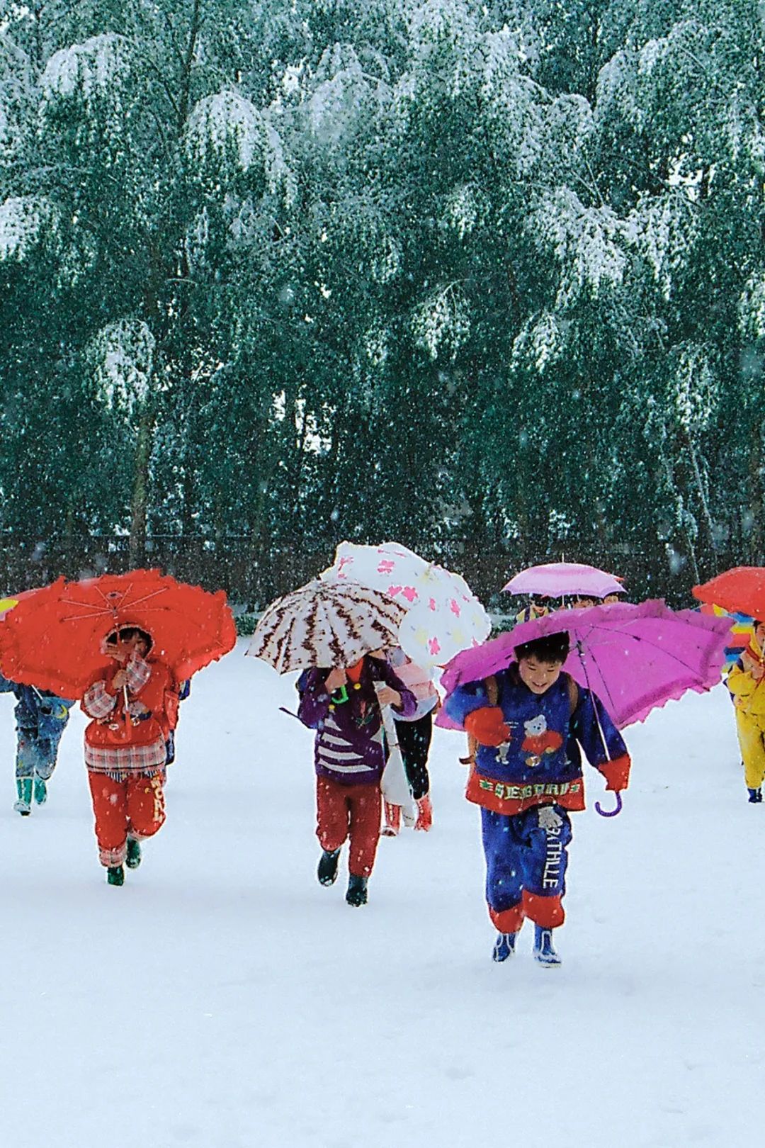 Image related to Liaoning: The Toughest City in the Northeast—Why Does It Embody the Entire Region?