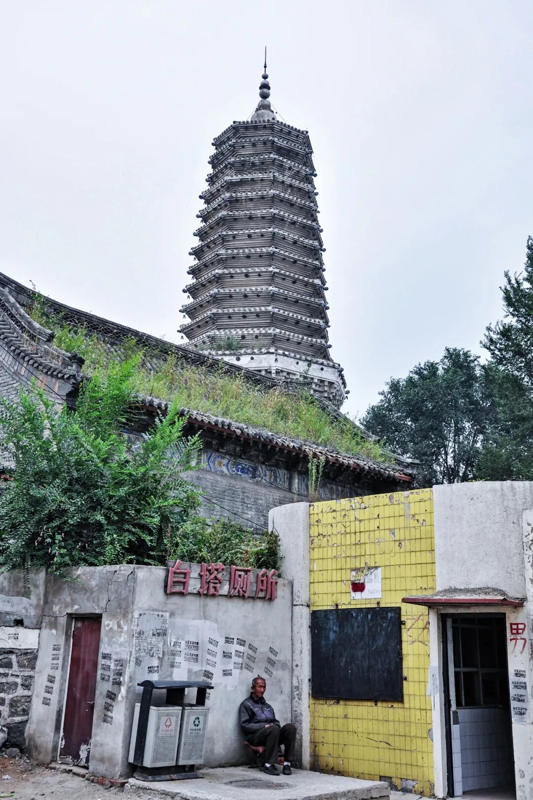 Image related to Liaoning: The Toughest City in the Northeast—Why Does It Embody the Entire Region?
