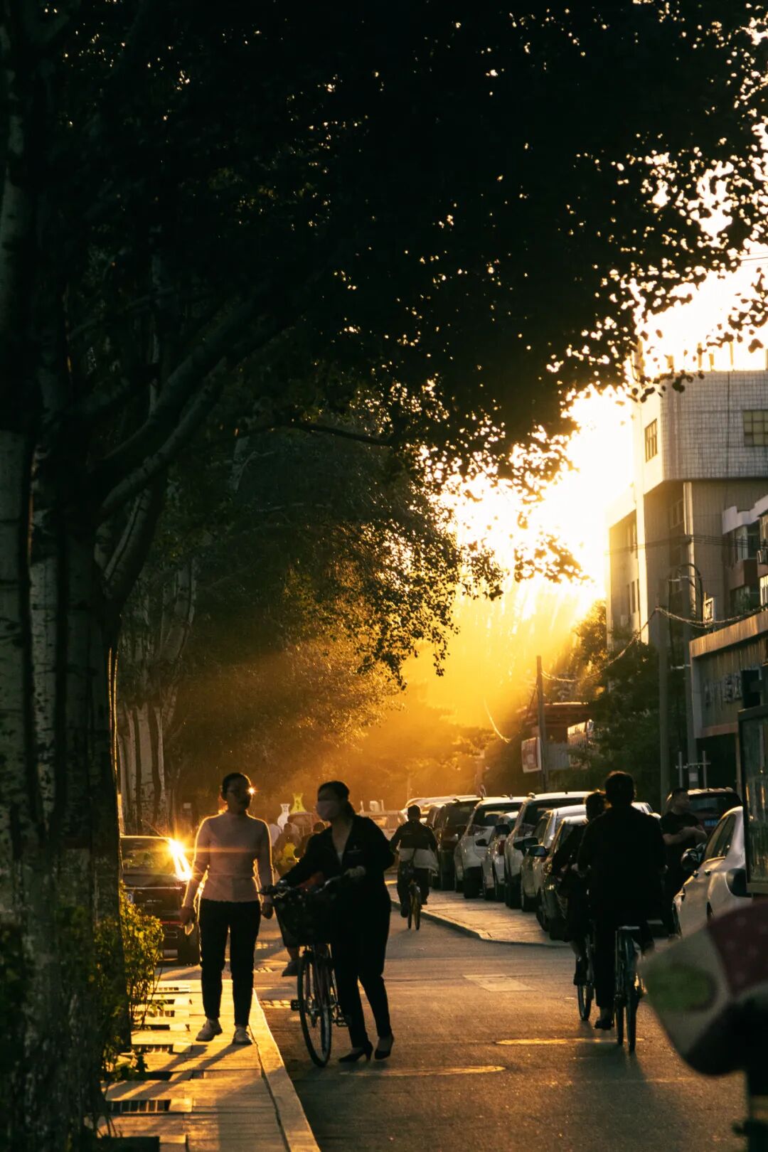 Image related to Why Does the Toughest City in Northwest China Have So Many Northeastern Influences?